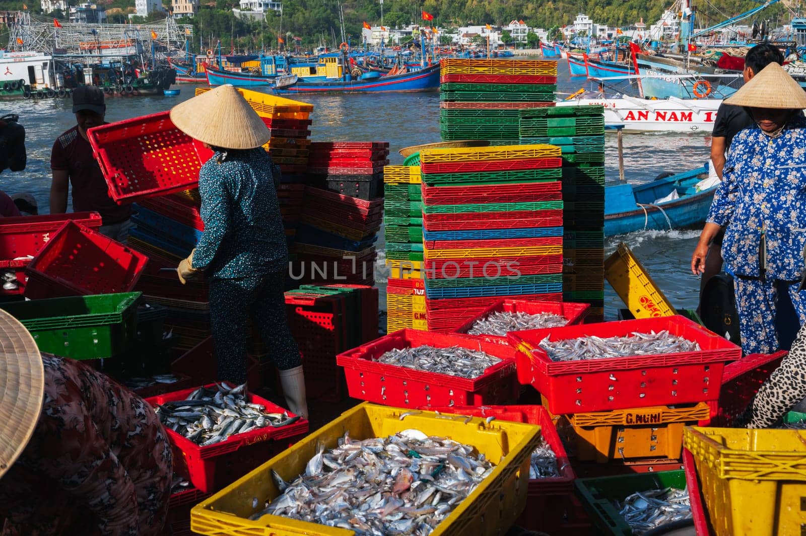 Local Vietnamese residents work at the fish market, unloading boxes from ships. Vietnam, Nha Trang - September 8, 2024