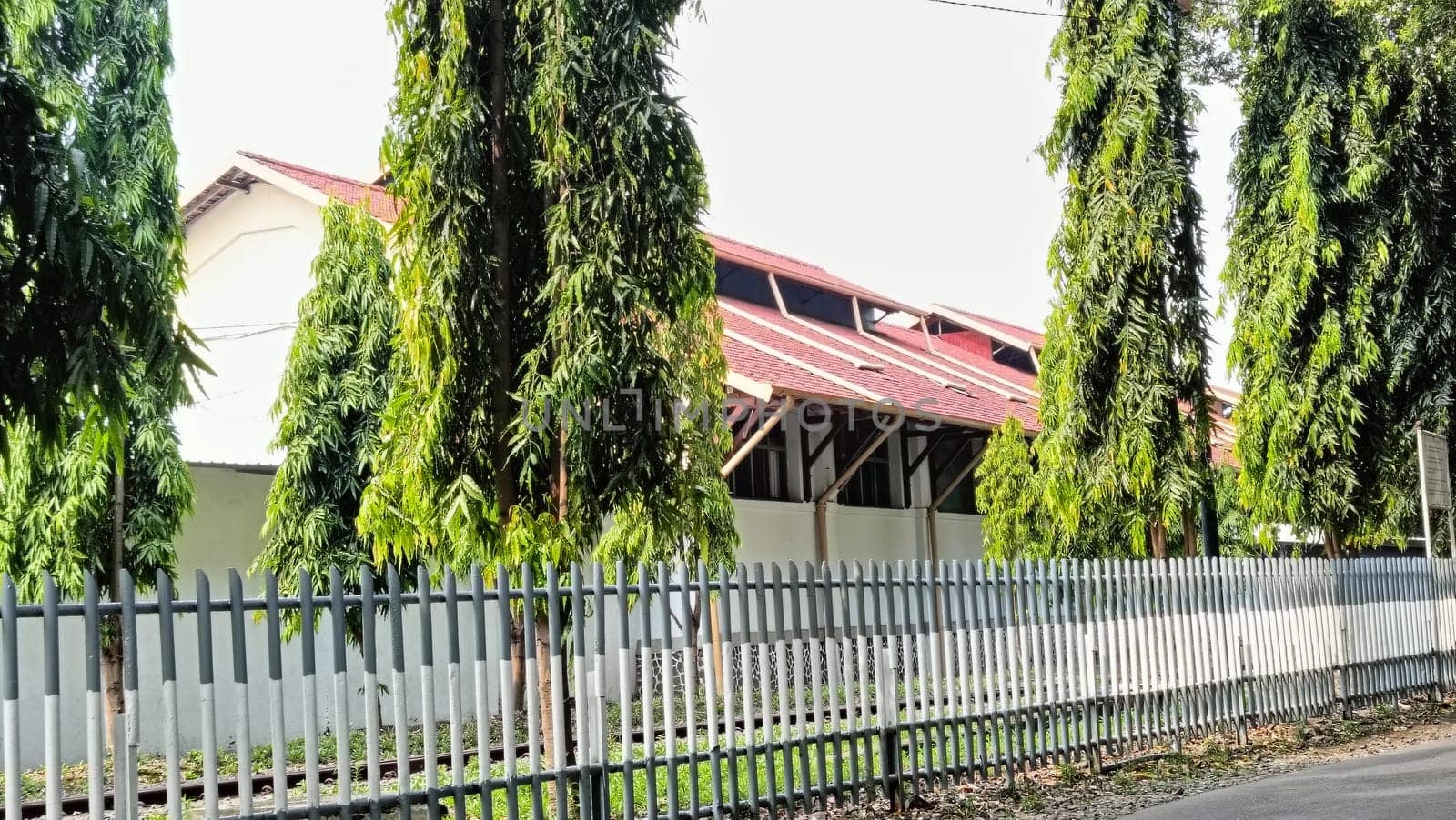 Greenery enhances this tranquil area with tall trees by a fence near a house, providing a peaceful suburban aesthetic surrounded by nature.