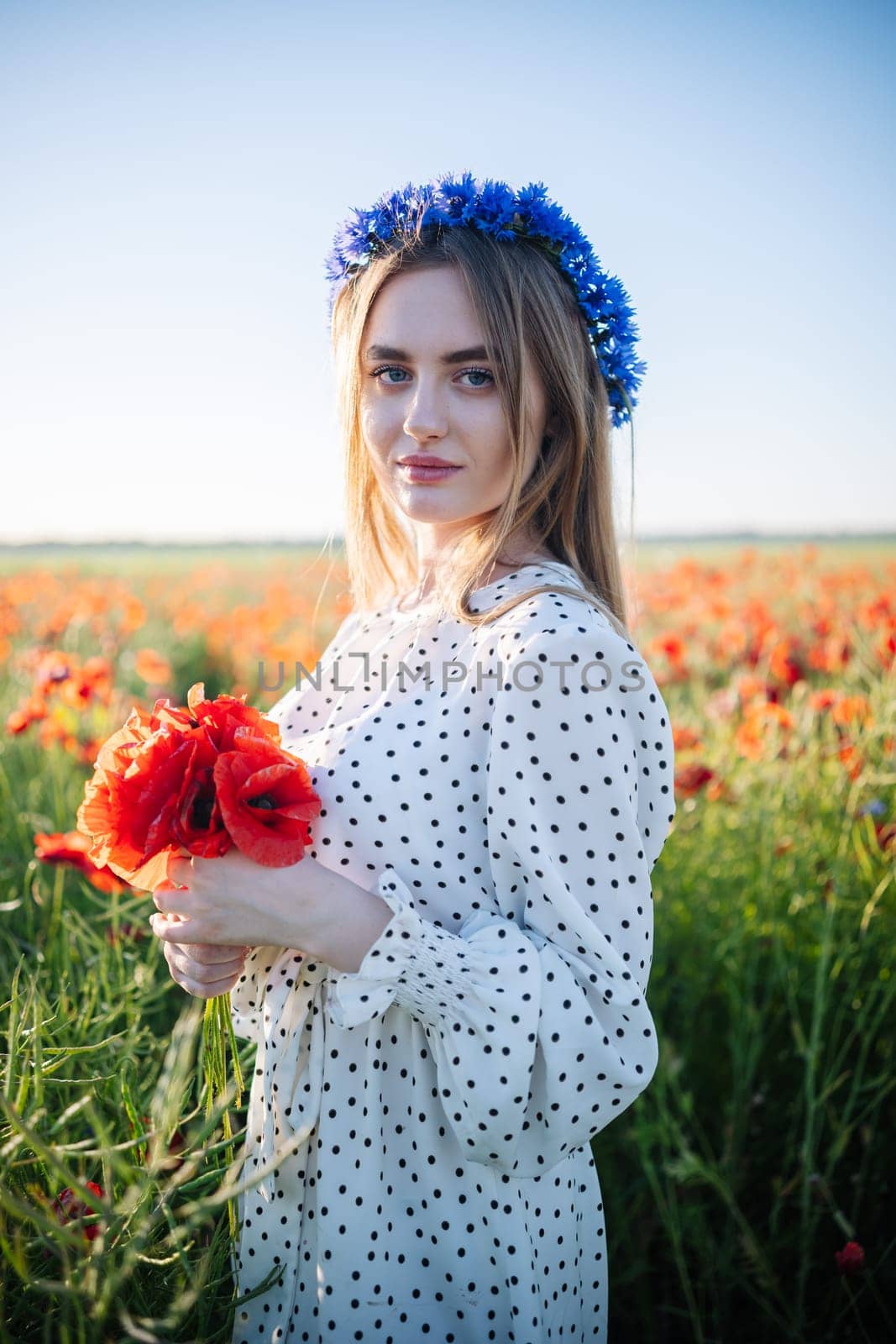 Young woman with blue cornflower wreath holding bouquet of red poppies in a field during summer