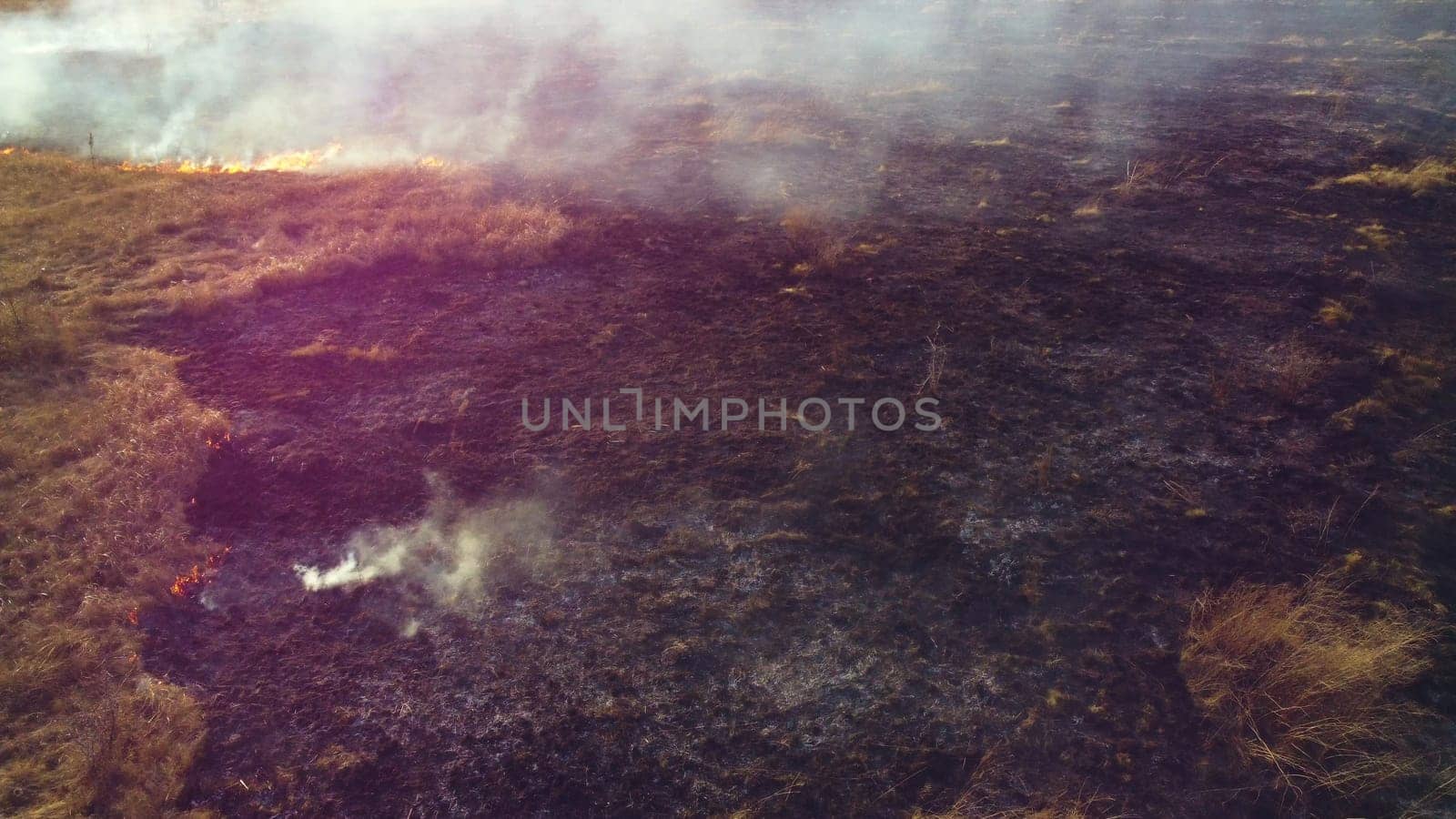 Aerial View Burning Dry Grass. Open Flames of Fire and Smoke. Yellow Dry Grass and Black Ash Burnt Plants. Ecological Catastrophy, Environmental, Natural disaster, Global Warming, Changing of Climate