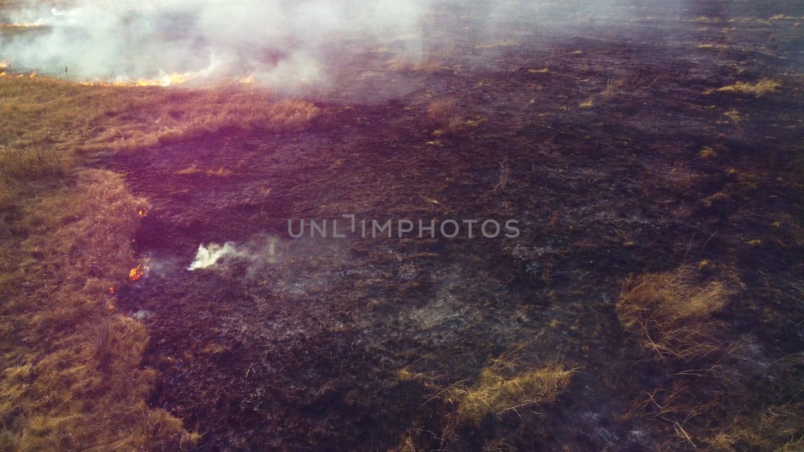 Aerial Drone View Over Burning Dry Grass and Smoke in Field. Flame and Open Fire. Top View Black Ash from Scorched Grass, Rising White Smoke and Yellow Dried Grass. Ecological Catastrophy, Environment