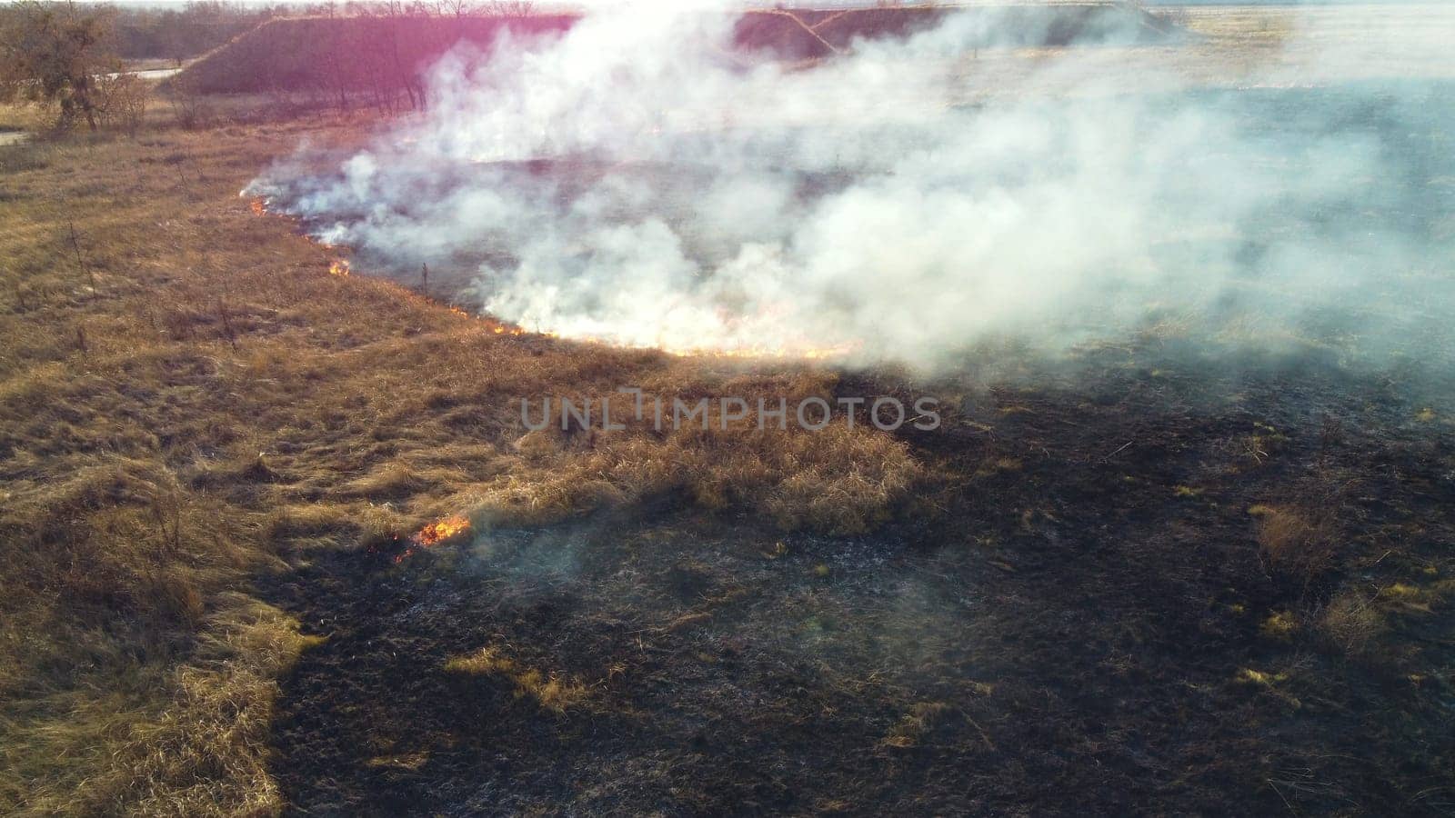 Aerial Drone View Over Burning Dry Grass and Smoke in Field. Flame and Open Fire. Top View Black Ash from Scorched Grass, Rising White Smoke and Yellow Dried Grass. Ecological Catastrophy, Environment