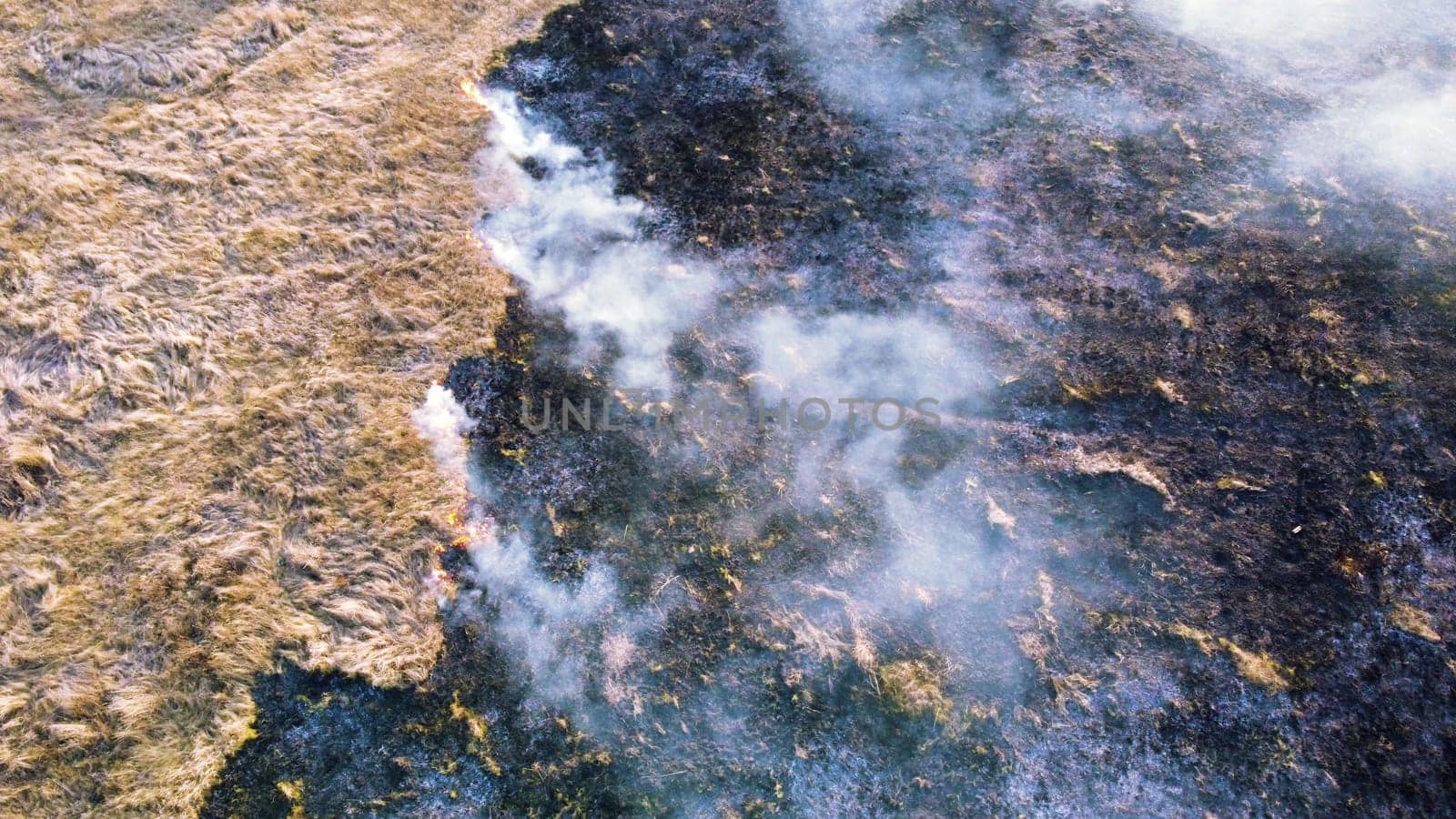 Aerial View Burning Dry Grass. Open Flames of Fire and Smoke. Yellow Dry Grass and Black Ash Burnt Plants. Ecological Catastrophy, Environmental, Natural disaster, Global Warming, Changing of Climate