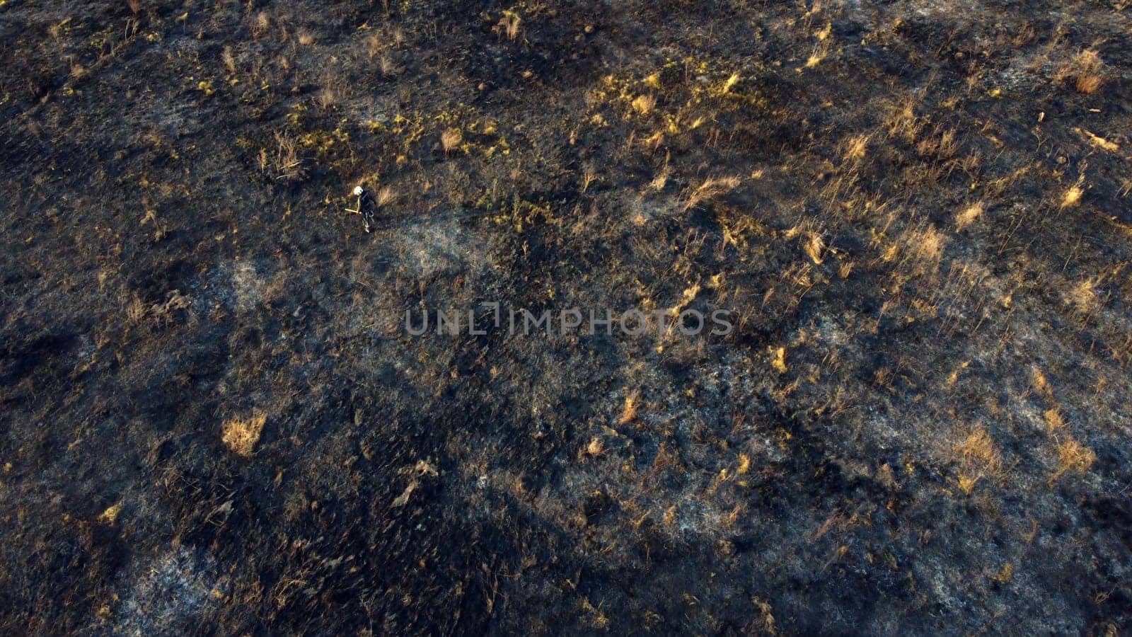 Firefighter walking across scorched field of black ash. View from above. Aerial drone view. Firemen walking on burned dry grass after conflagration on sunny day. Ecological environmental catastrophy