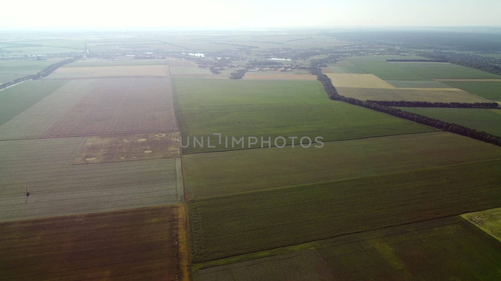 Aerial drone view flight over different agricultural fields sown with various rural agricultural cultures. Top view farmland and plantations. Landscape fields agro-industrial culture. Countryside