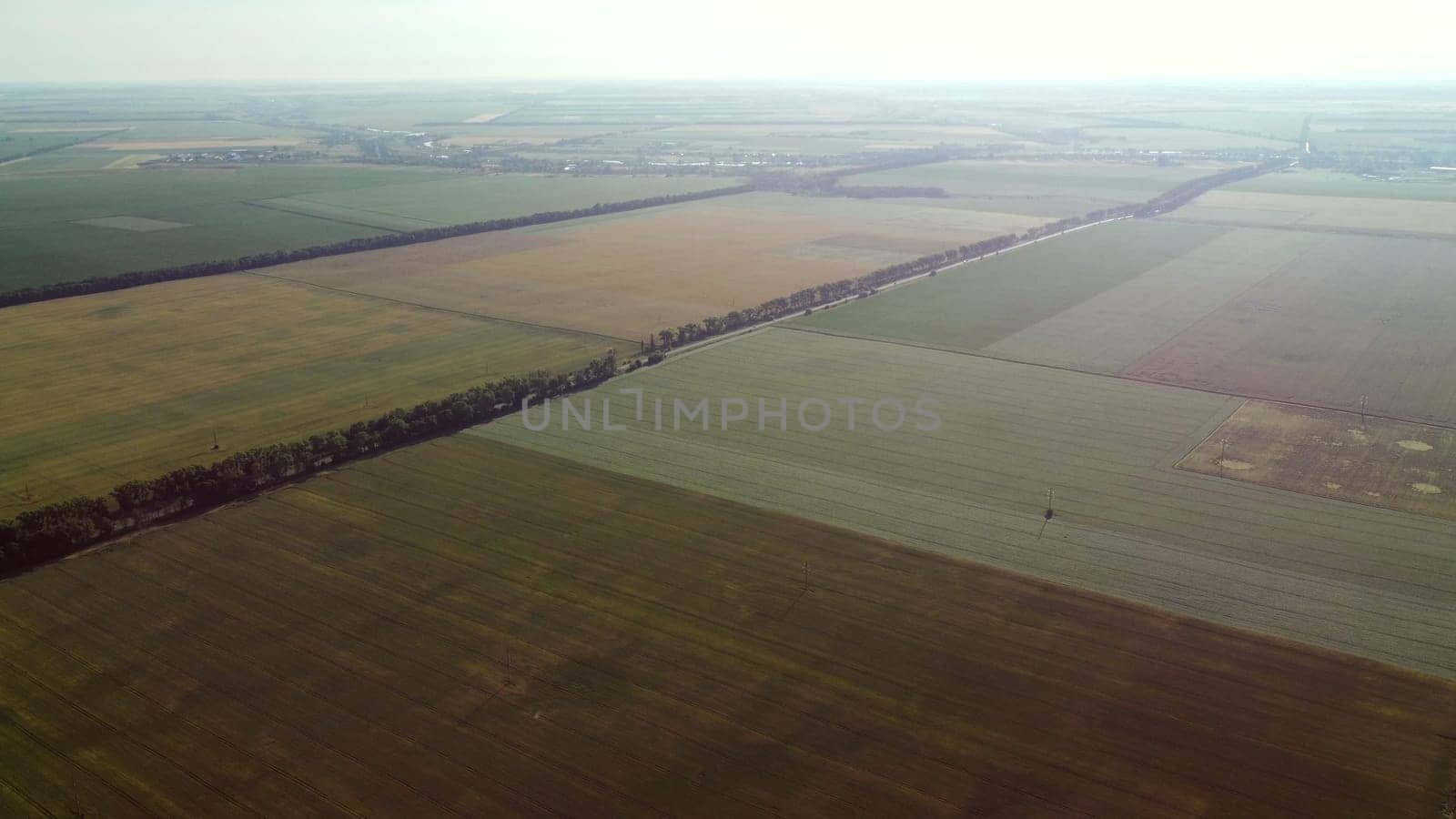 Aerial drone view flight over different agricultural fields sown with various rural agricultural cultures. Top view farmland and plantations. Landscape fields agro-industrial culture. Countryside