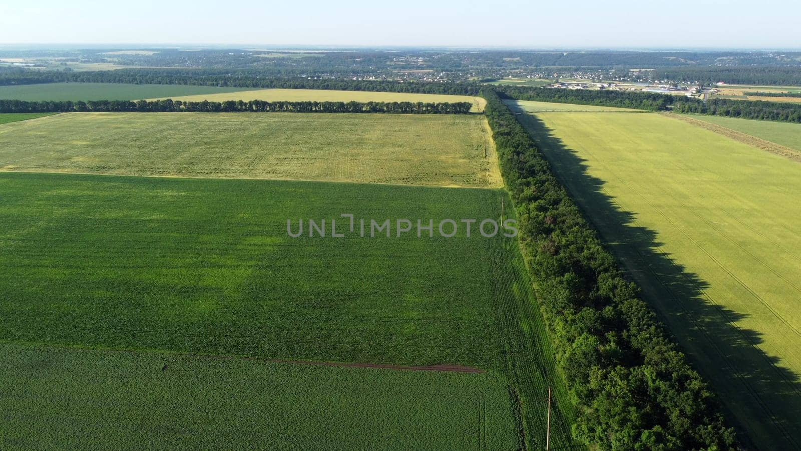 Landscape green agricultural fields sown with different agricultural crops. Aerial drone view. Rural scenery. Agricultural grounds. Farmland. Agricultural natural background. Top view multiple fields