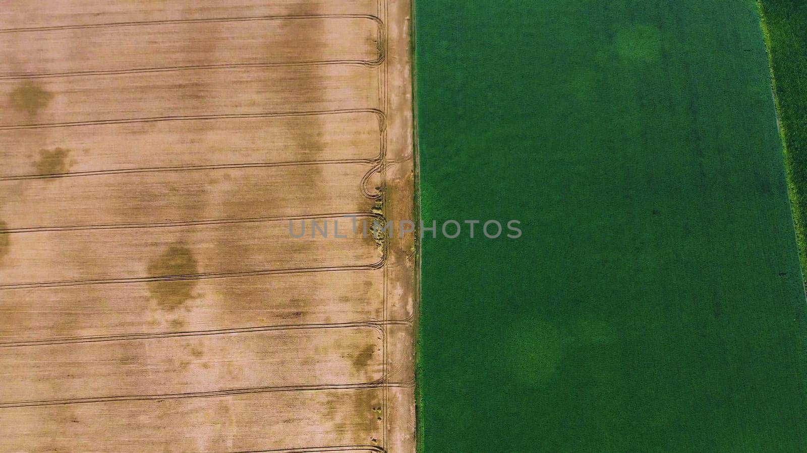 Aerial drone view over border between yellow wheat field and green agricultural field. Top view two halves of field. Landscape view other different agricultural fields. Agricultural natural background