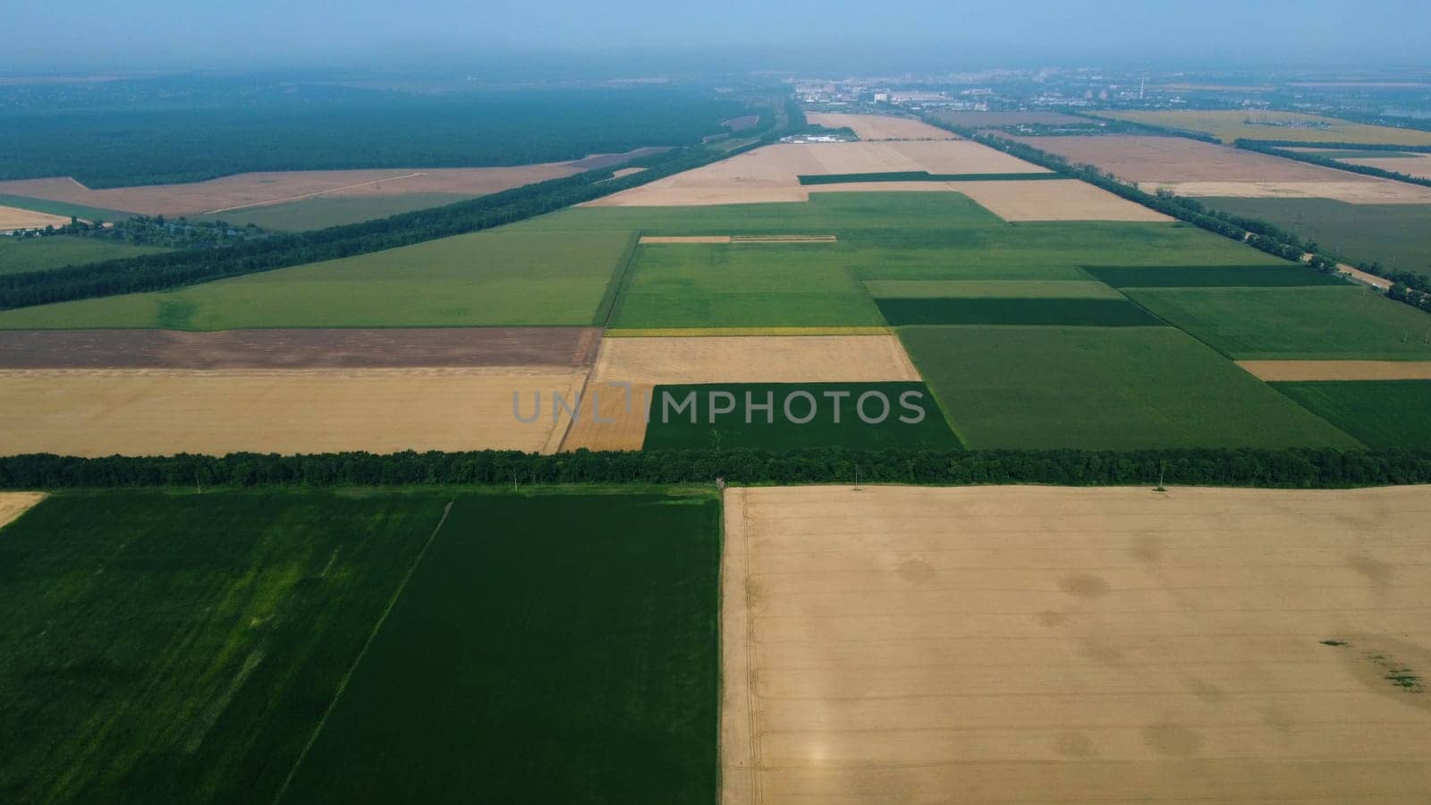 Panoramic top view of different agricultural fields. Parts of yellow wheat field and fields with other green agricultural plants. Aerial drone view. Agrarian agricultural landscape. Natural background