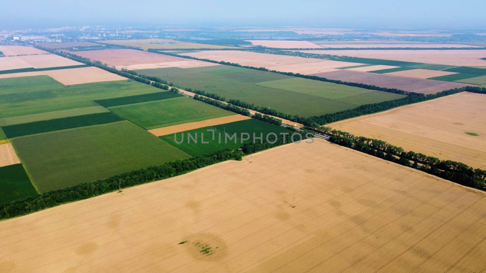 Panoramic top view big wheat field. Different agricultural fields. Yellow wheat field and fields with other green agricultural plants. Aerial drone view. Agrarian agricultural landscape background