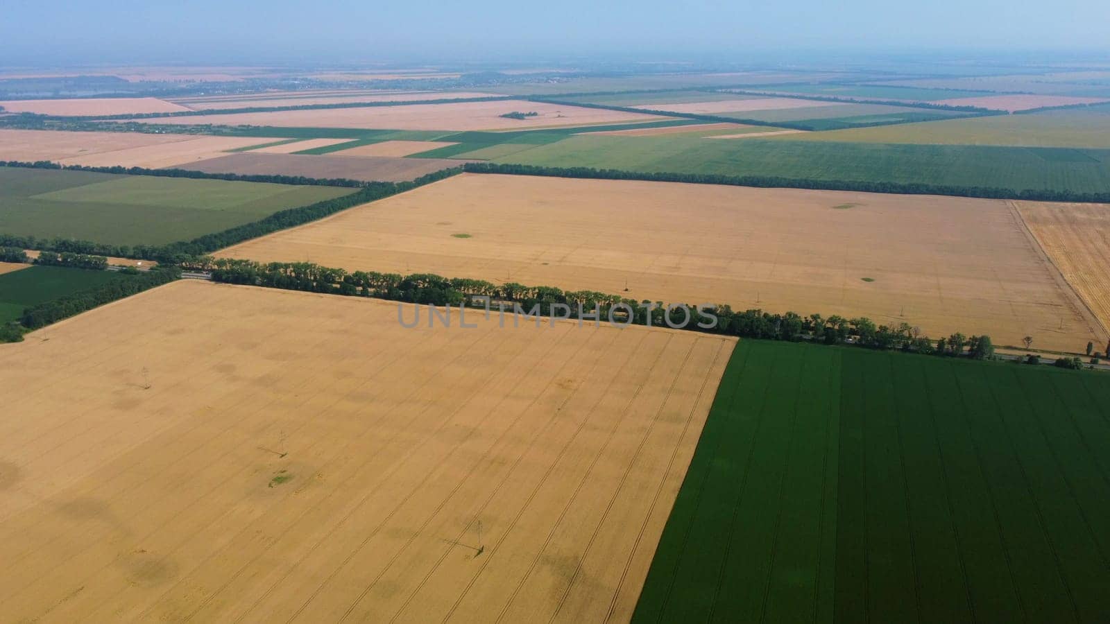 Aerial drone view over between yellow wheat field and green agricultural field. Top view pieces of fields. Rural landscape scenery country. Agricultural natural background. Crop fields