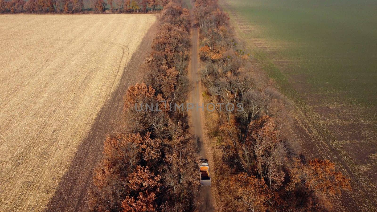 Aerial Drone View Flight Over Truck with Empty Body Driving Along Dirt Road Between Trees and Filleds on Autumn Sunny Day. Concept Harvesting, Harvest, Transportation, Agrarian, Farming, Agriculture