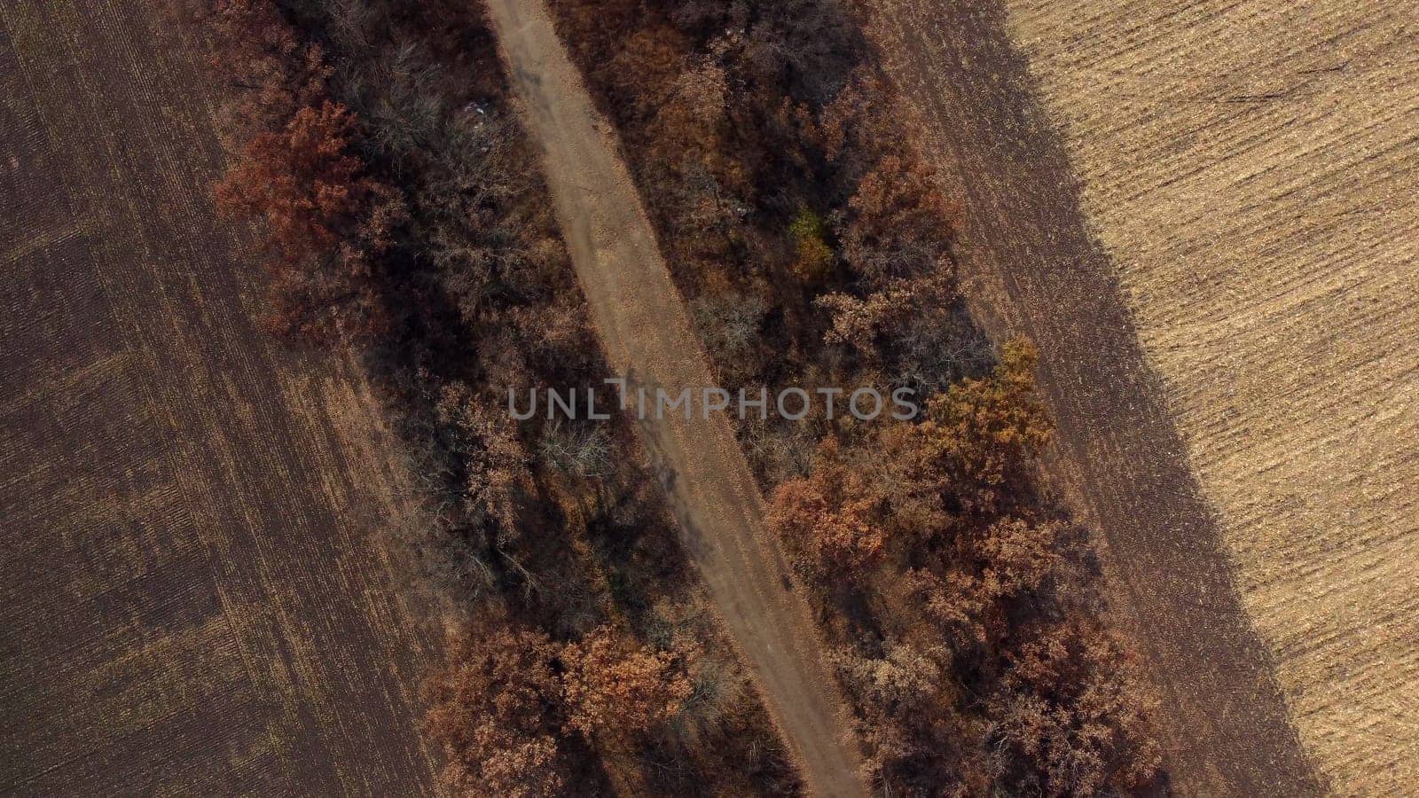 Landscape view of dirt rural road between trees and fields on sunny autumn day. Aerial Drone View Flight Over country road among trees and dry fallen leaves. Scenery nature, traveling earth pathway