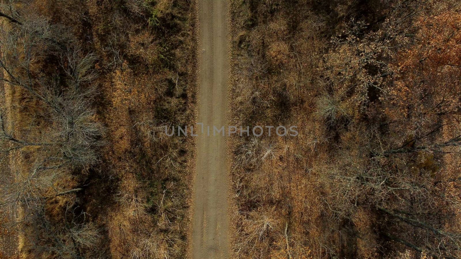 Landscape view of dirt rural road between trees and fields on sunny autumn day. Aerial Drone View Flight Over country road among trees and dry fallen leaves. Scenery nature, traveling earth pathway