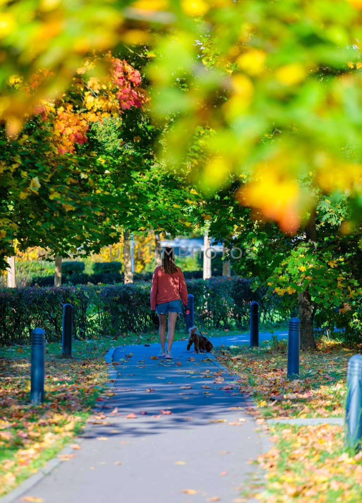 A woman walks her dog along the sidewalk in a city park on a sunny day