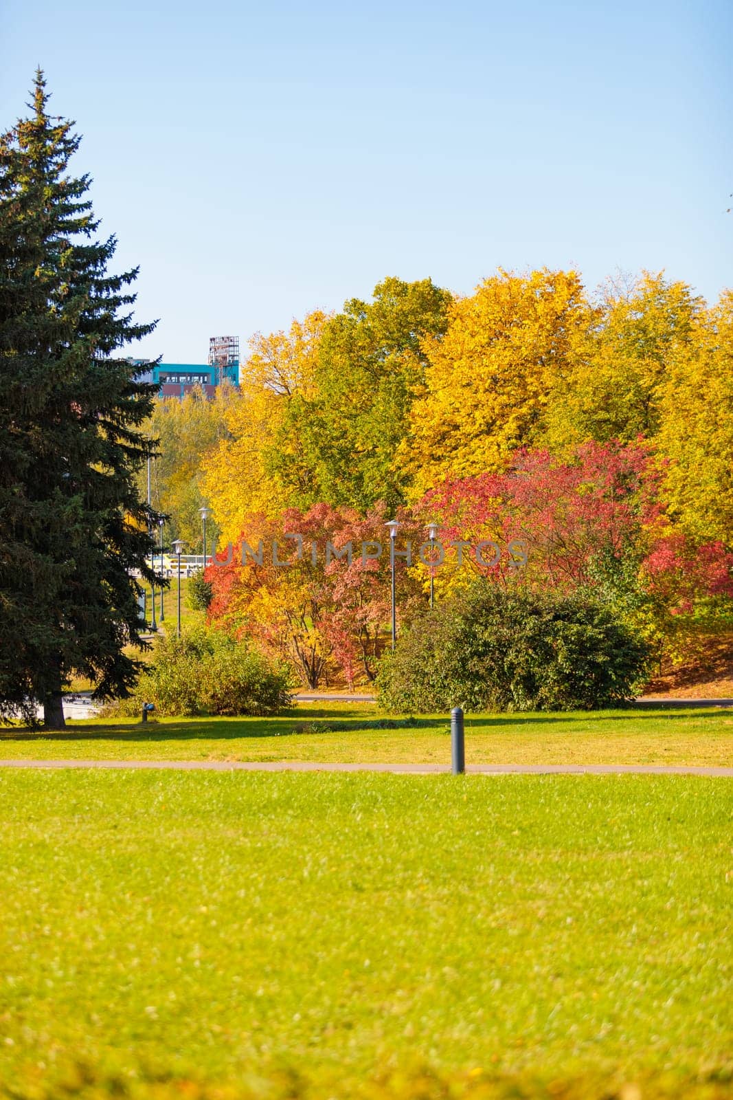 Autumn landscape of city park, beautiful view of mottled leaves