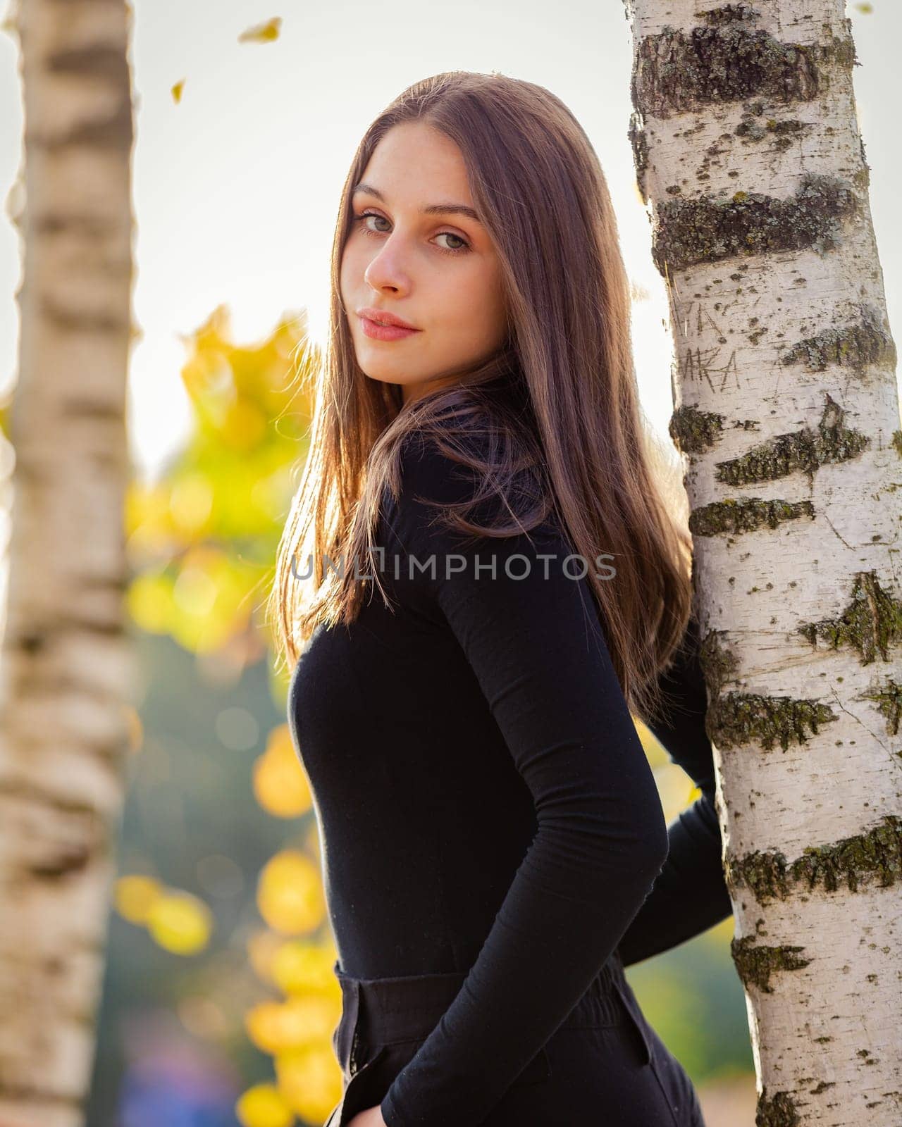 A beautiful girl posing near a birch tree in an autumn park. by Yurich32