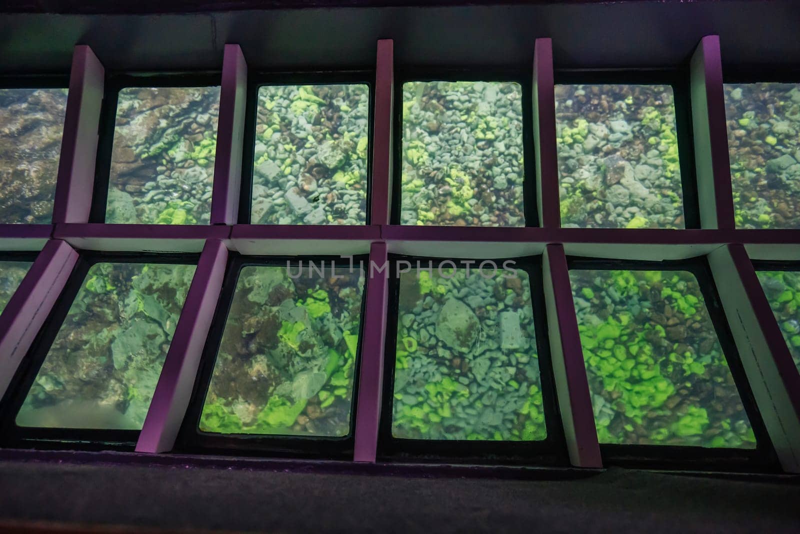Glass panels exposing underwater rocky seascape with green algae through boat's translucent bottom in russian marine environment