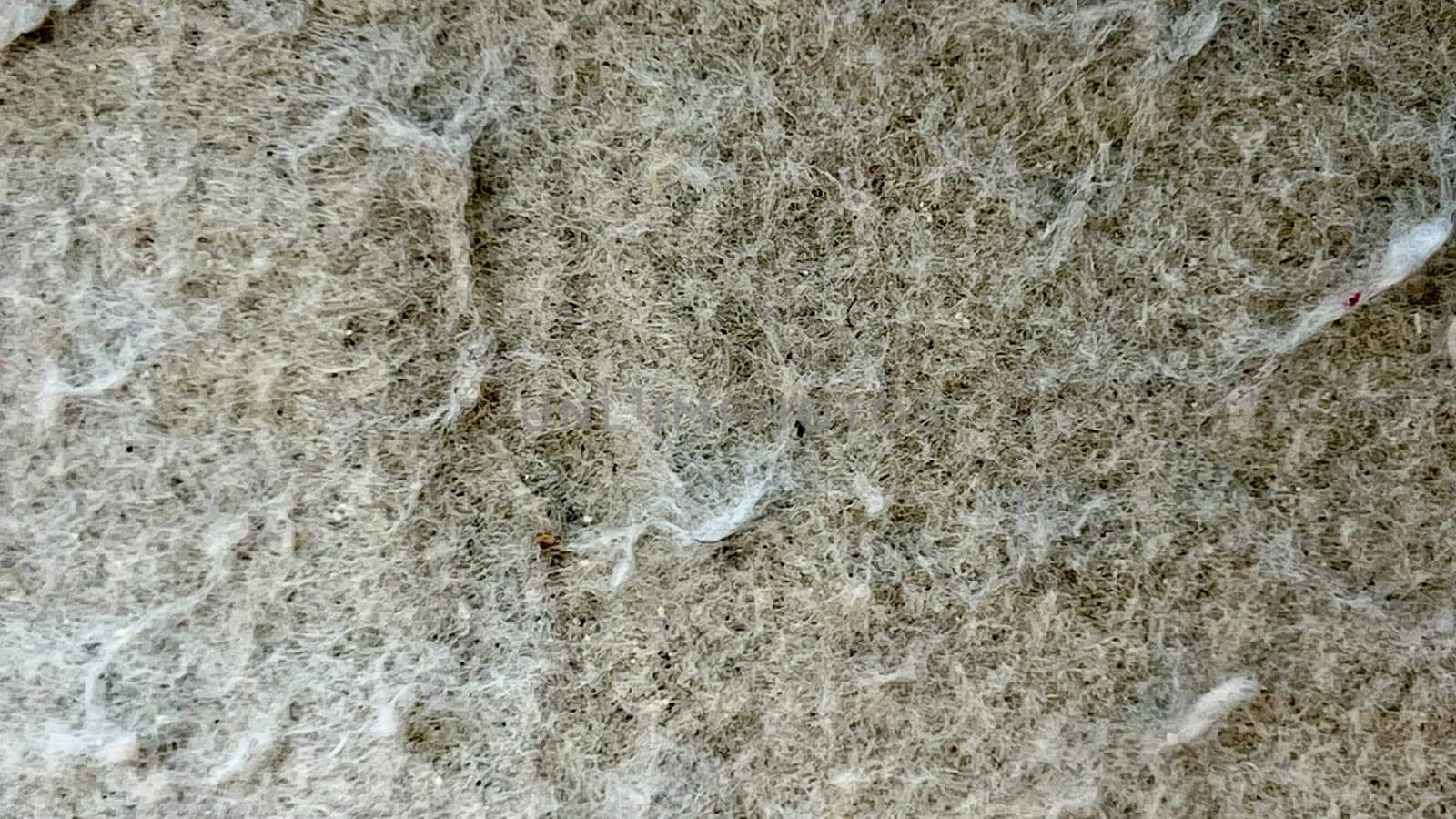 Close-up view of a synthetic fiber surface with a unique texture highlighting its detailed composition.