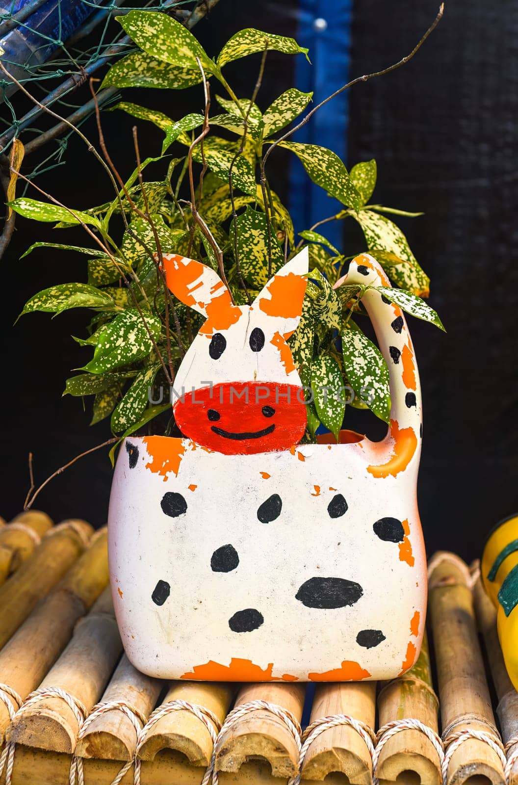 Vase made of plastic bottle with potted plant