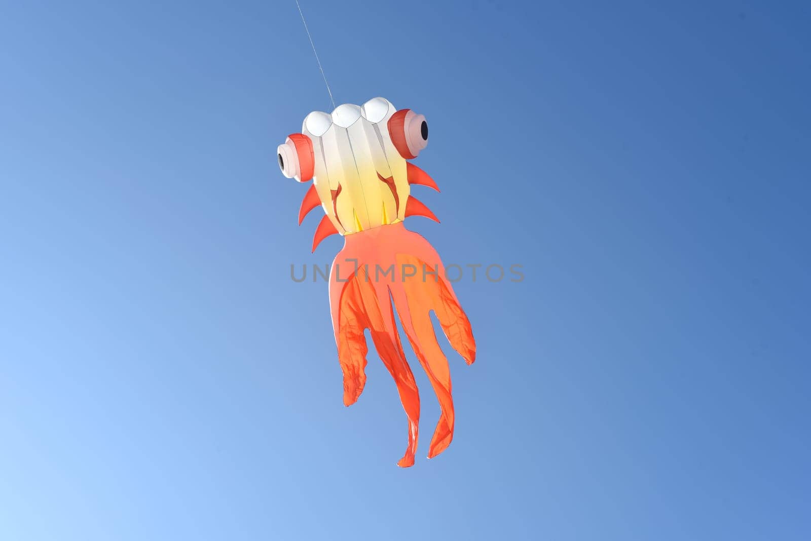 Bright kite in the blue sky without people