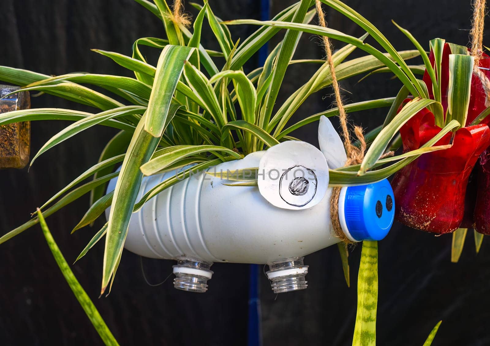 Vase made of plastic bottle with potted plant