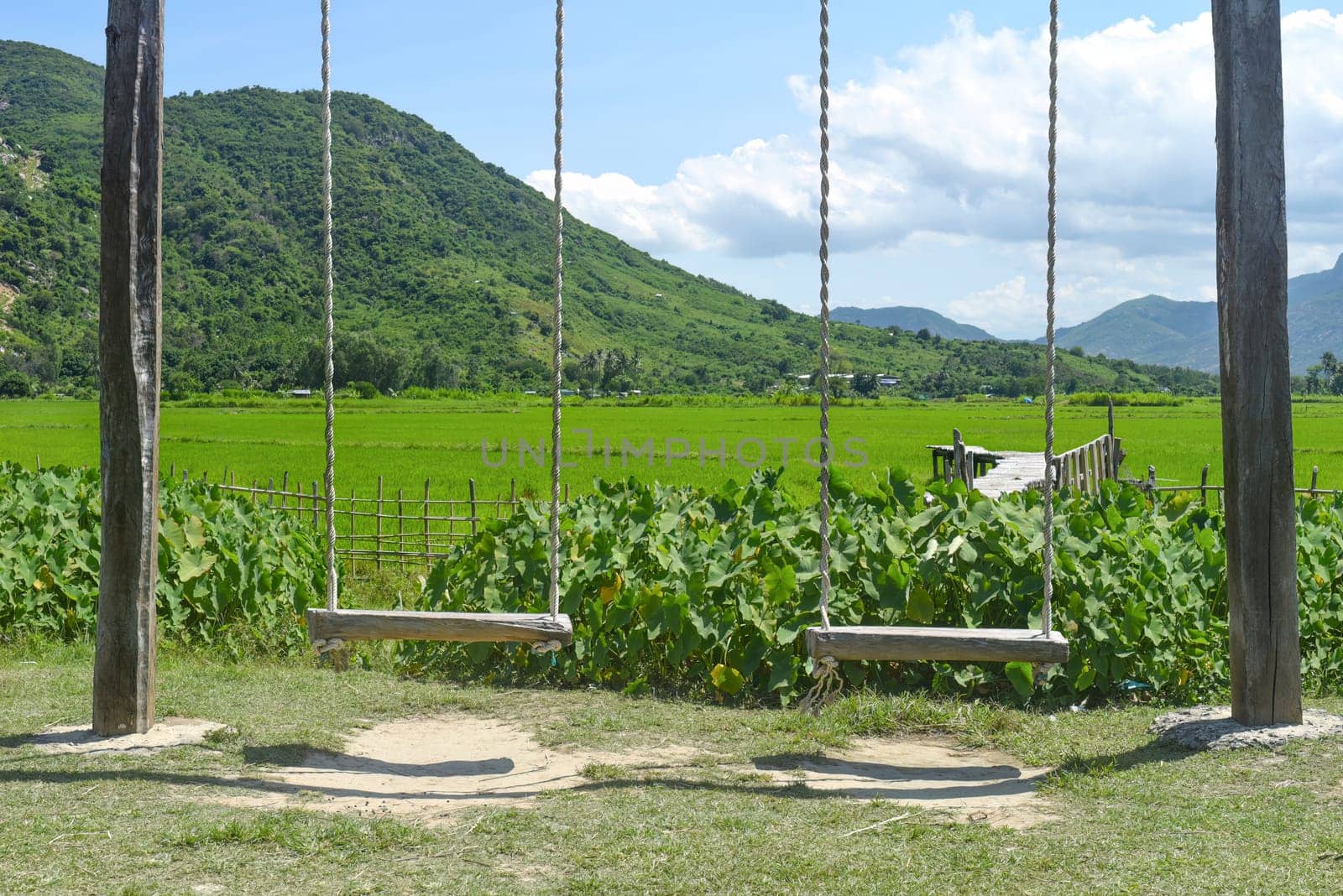 Wooden swing against of rice field  in Vietnam on a sunny day