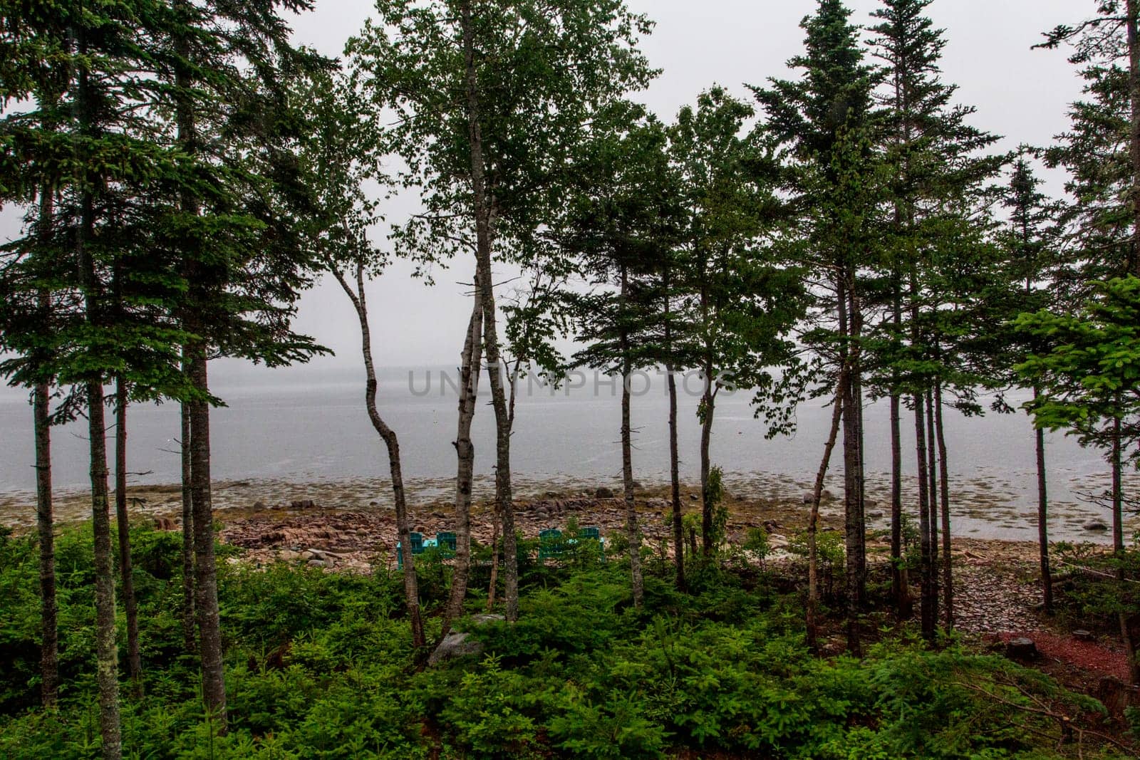 Views of Gouldsboro Bay, Maine