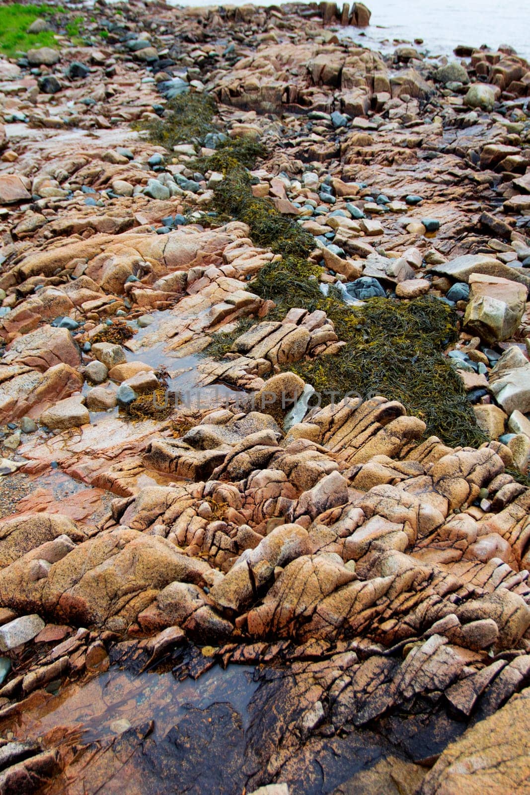 Views of Gouldsboro Bay, Maine