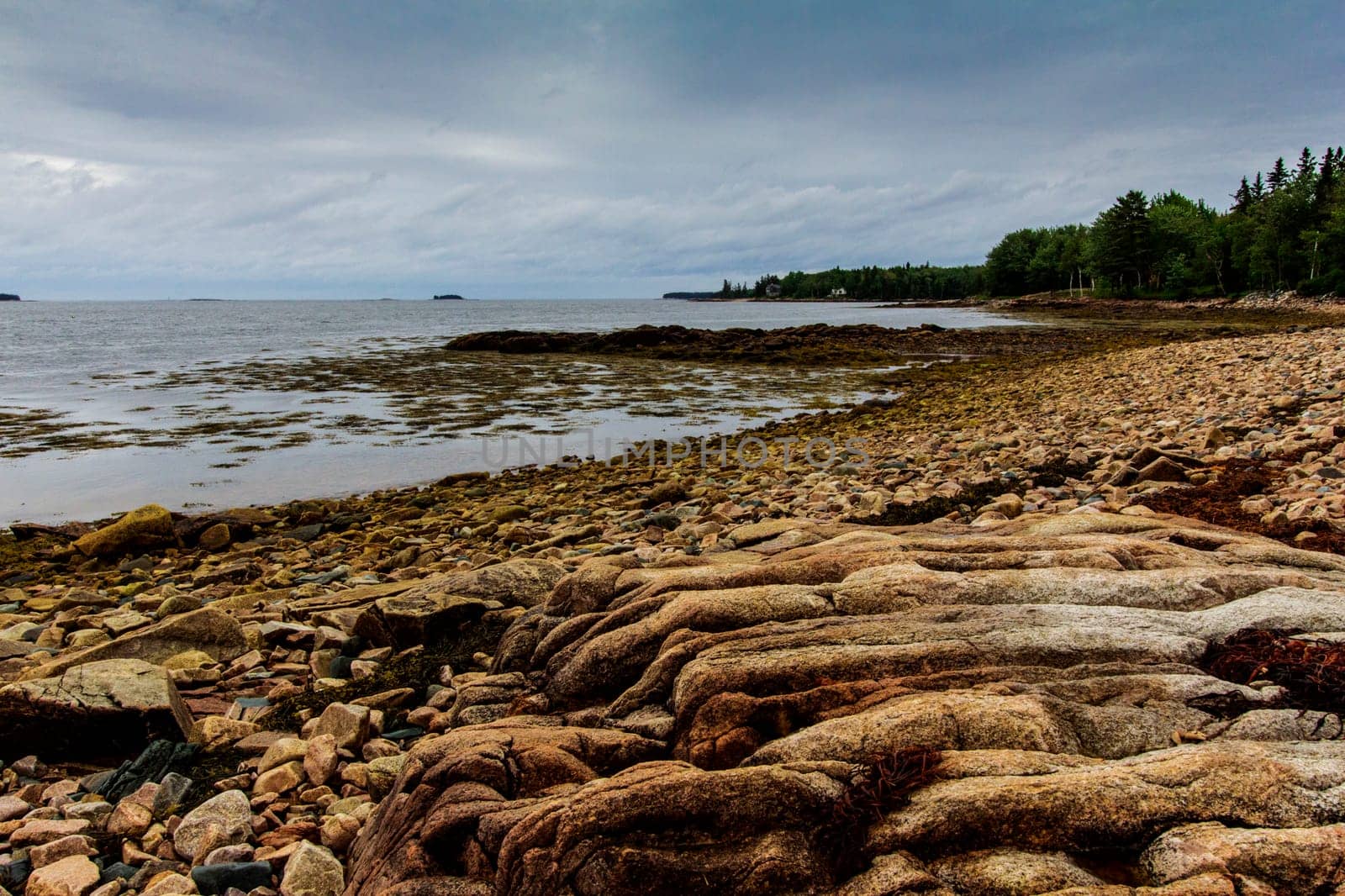 Views of Gouldsboro Bay, Maine