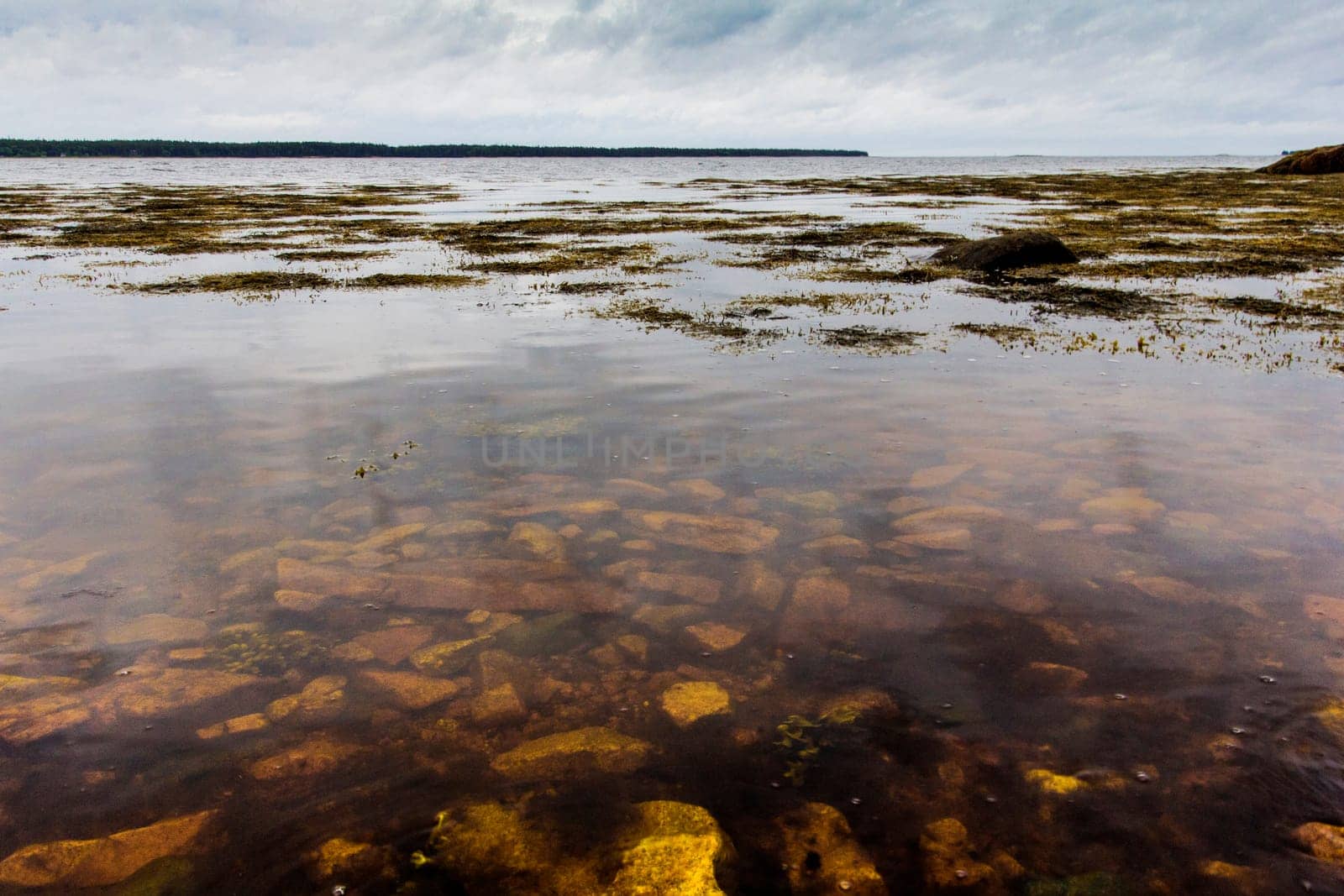 Views of Gouldsboro Bay, Maine