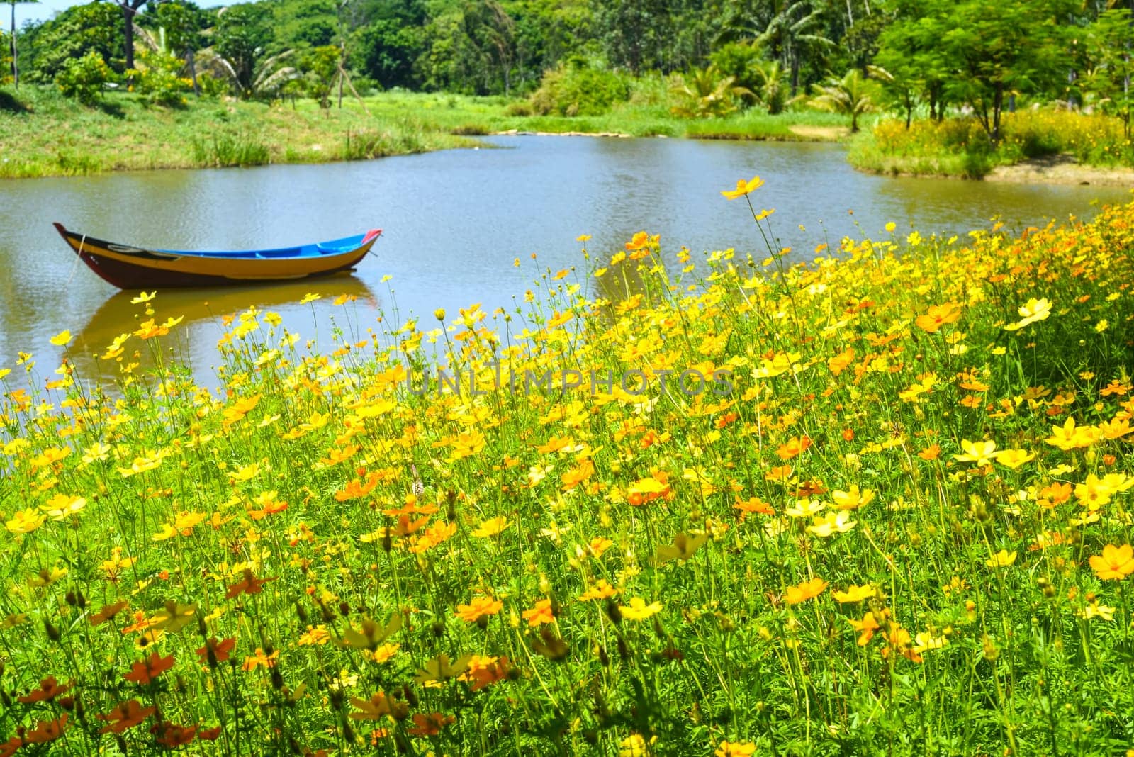 Yellow flowers against wooden boat floating in lake in Vietnam