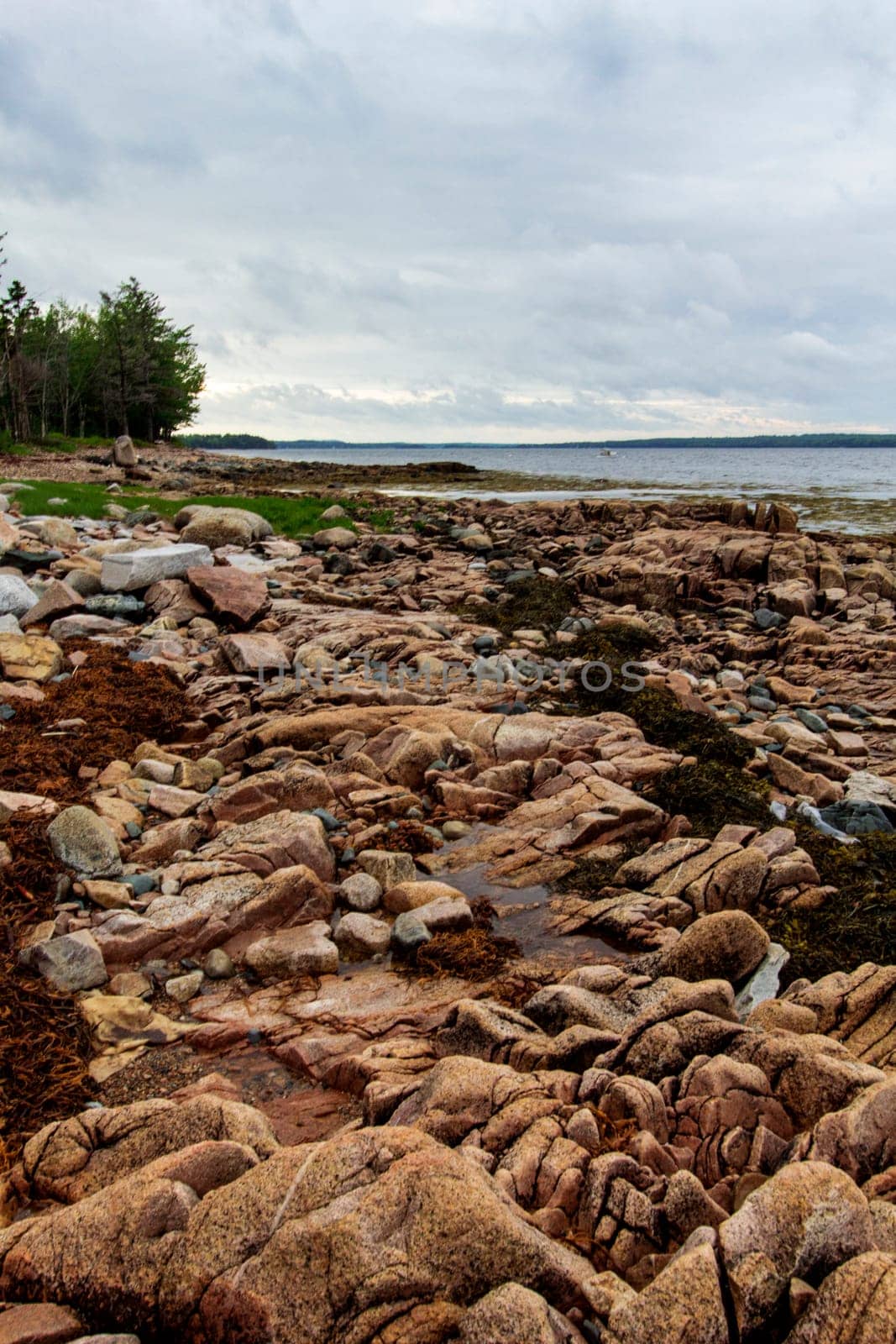 Views of Gouldsboro Bay, Maine