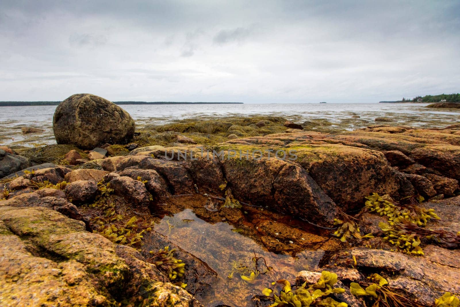 Views of Gouldsboro Bay, Maine