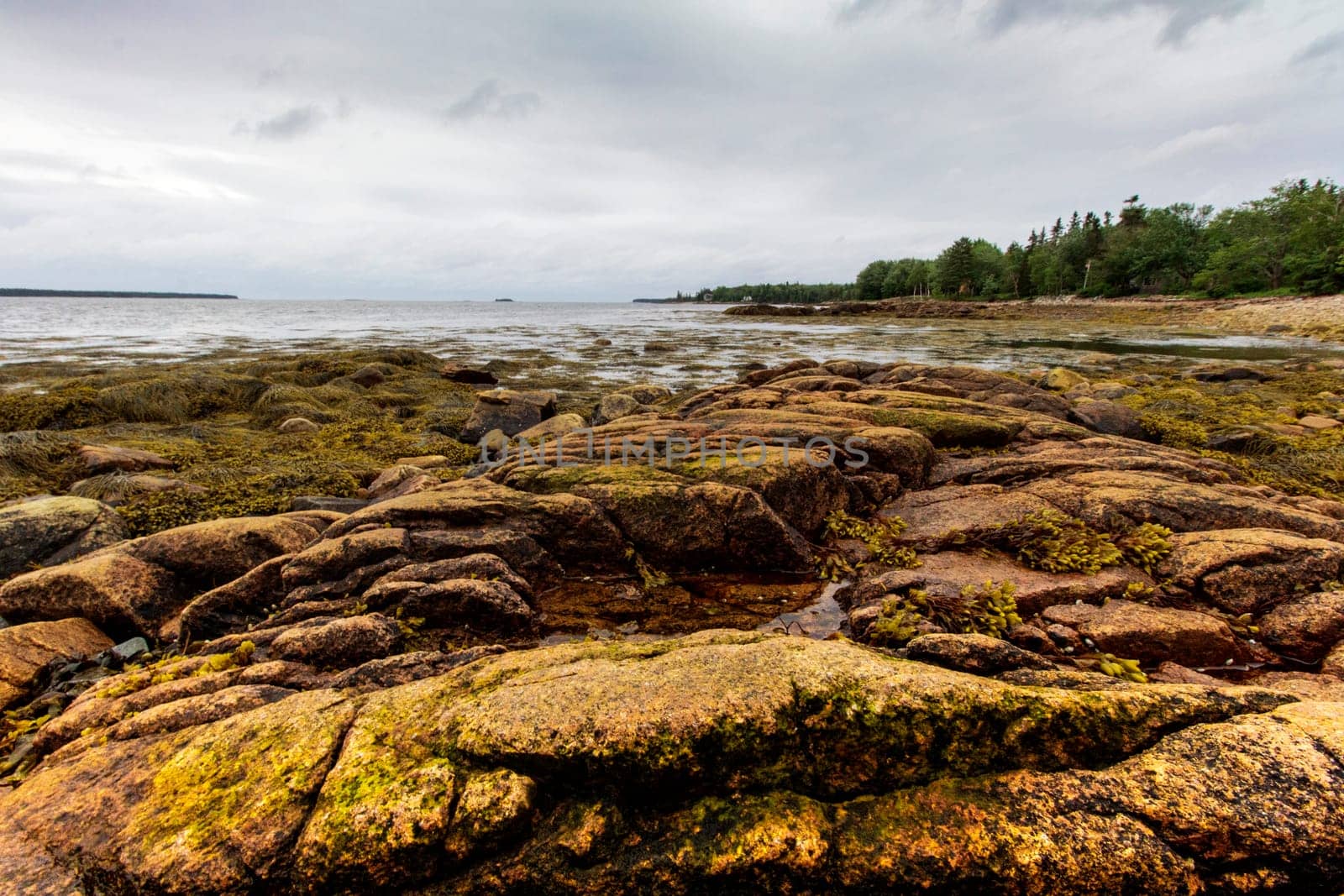 Views of Gouldsboro Bay, Maine