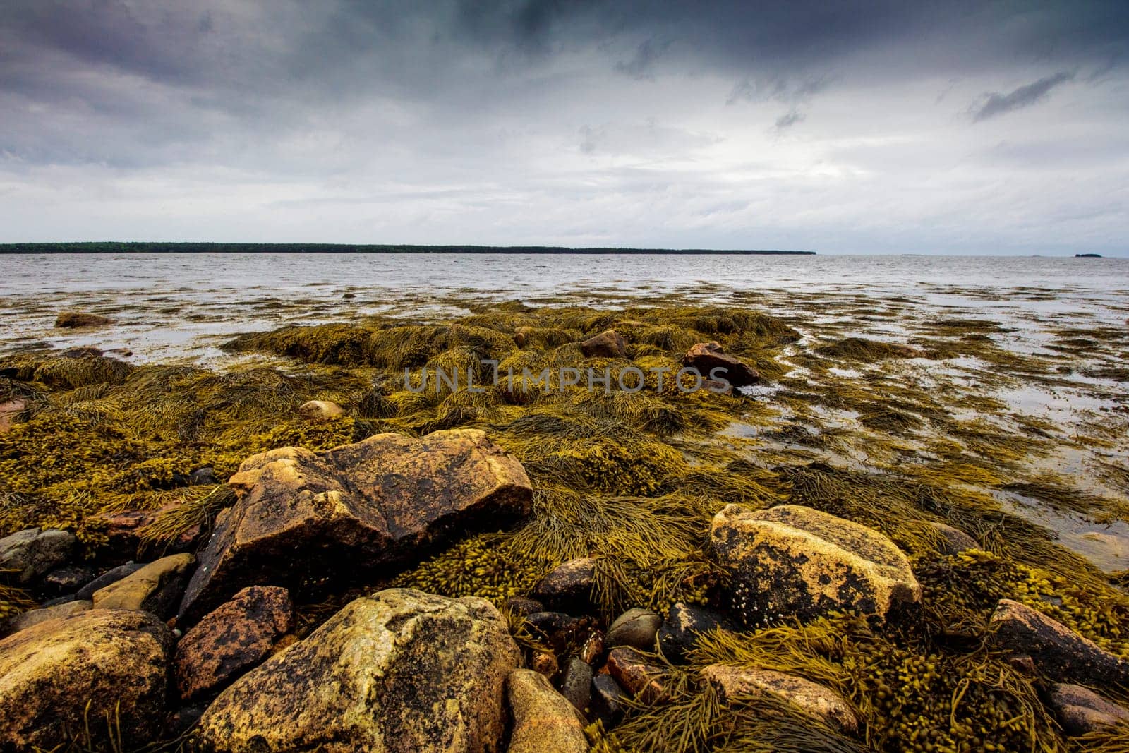 Views of Gouldsboro Bay, Maine