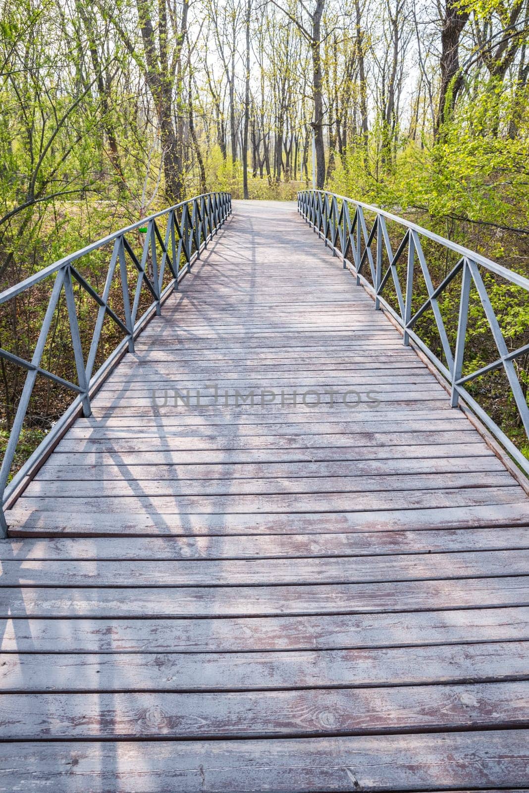 Wooden bridge in the forest without people
