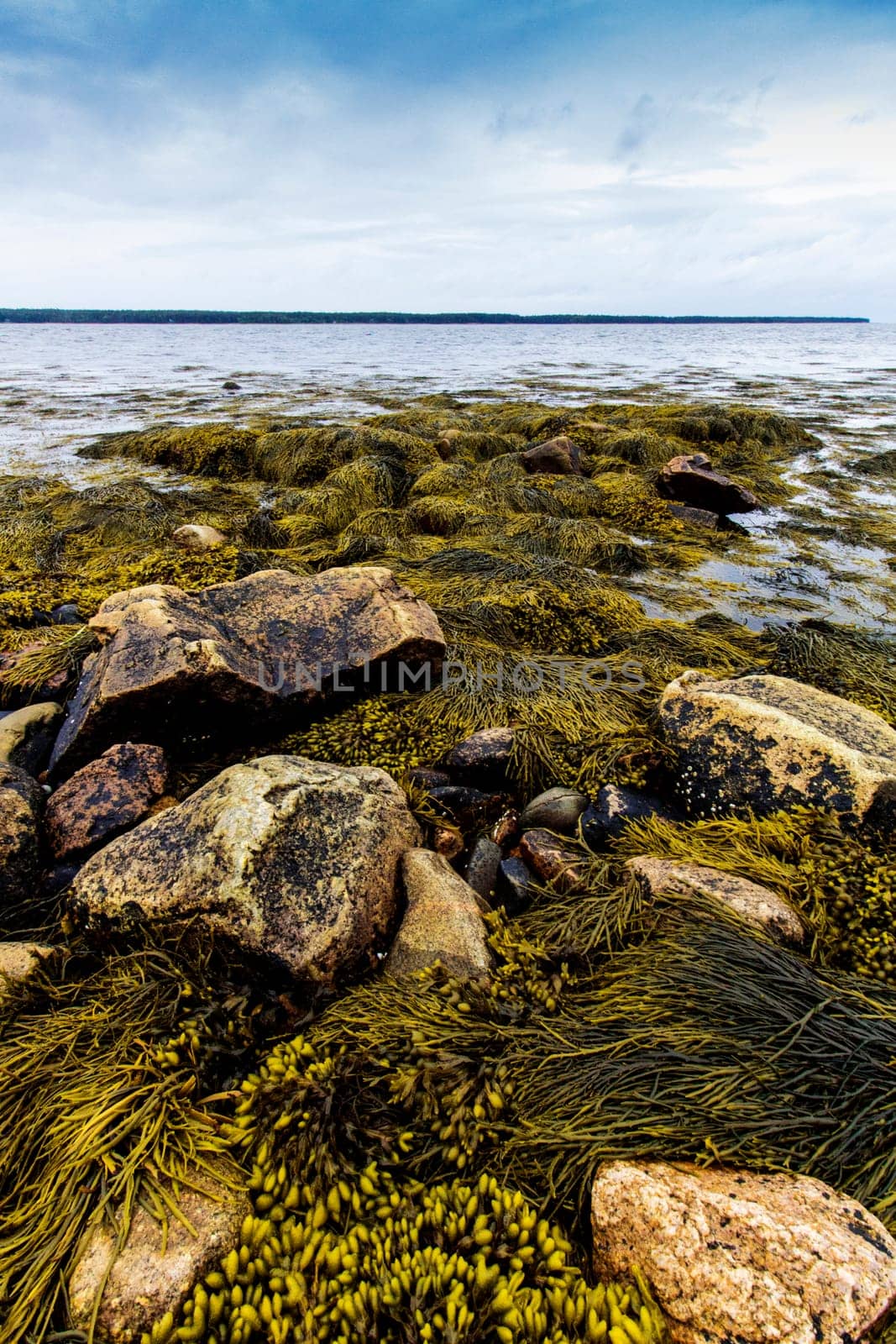 Views of Gouldsboro Bay, Maine