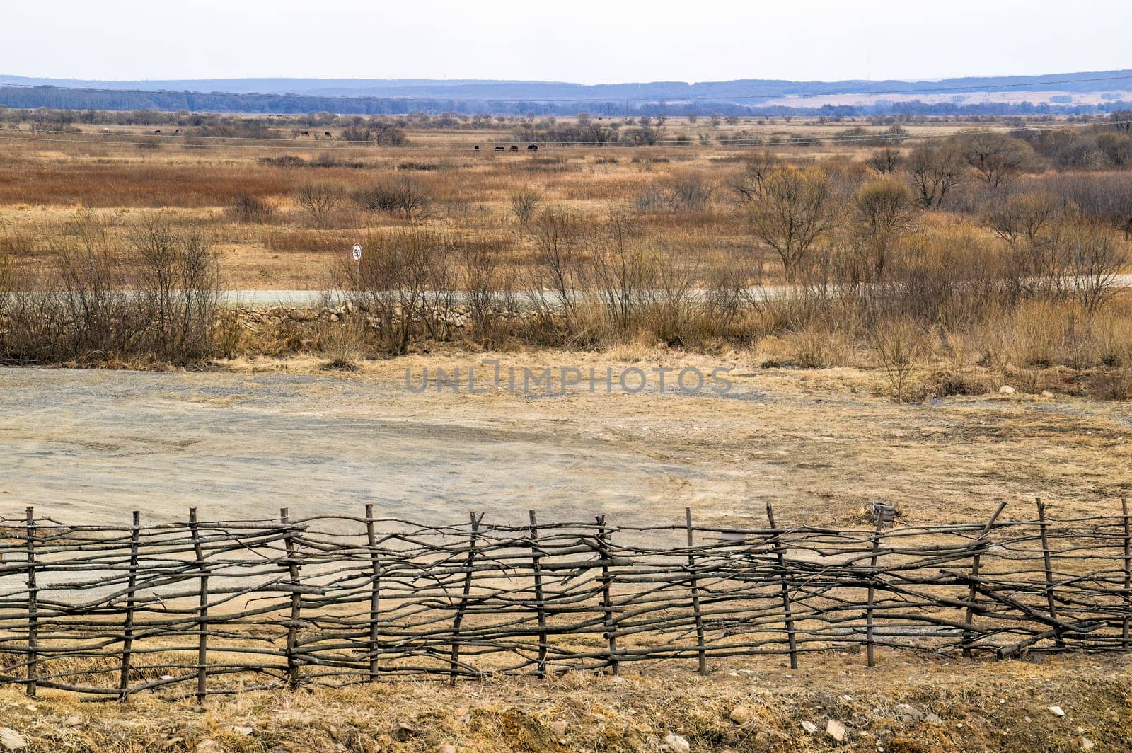 Dull, depressing, gloomy landsape of field of dry grass, horses grazing in the distance and old wooden fence. 
Road without cars and speed limit sign. Copy space, without people