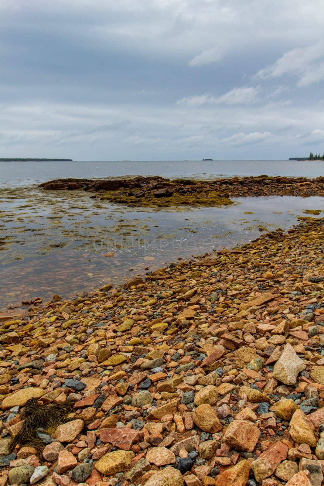 Views of Gouldsboro Bay, Maine