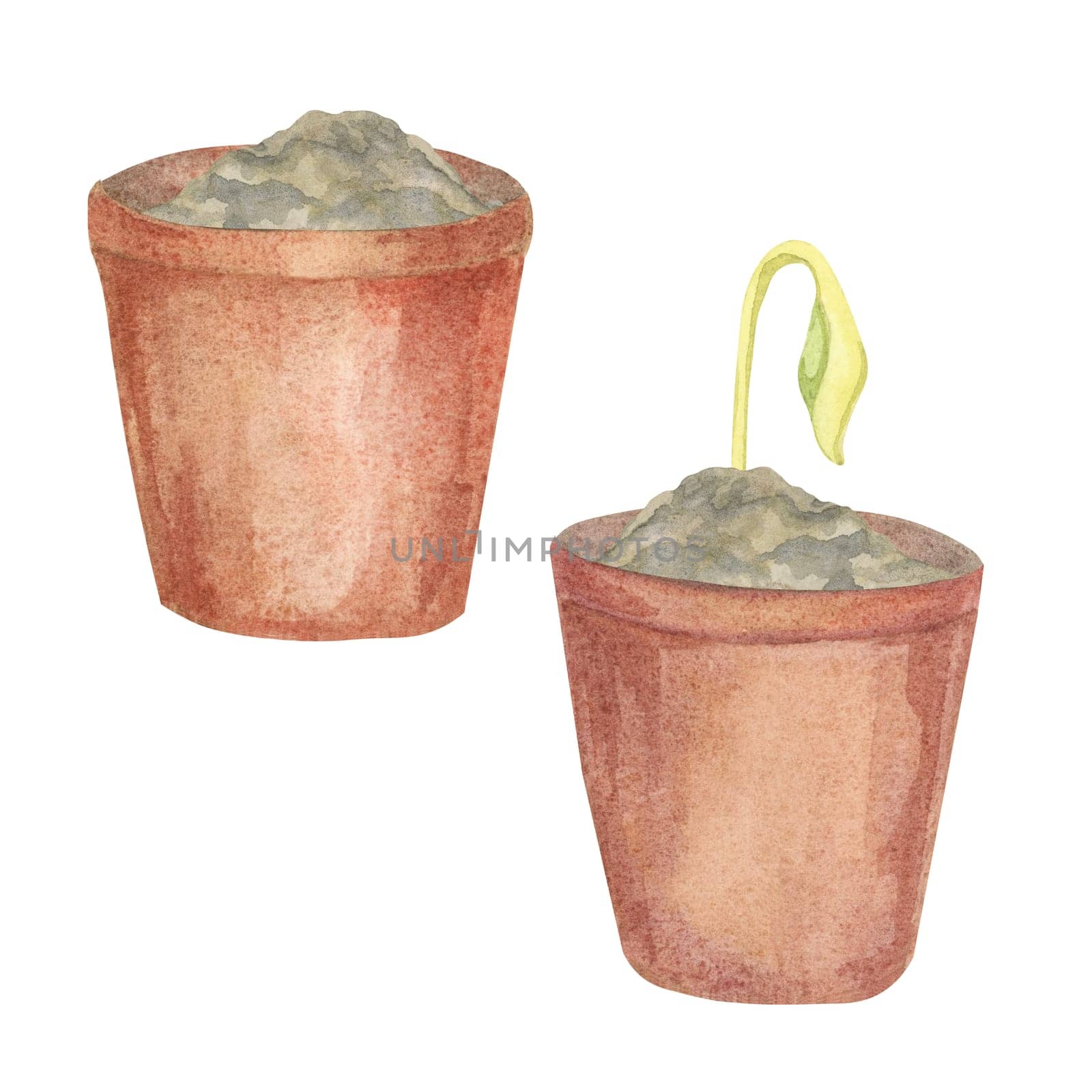 Terracotta plant pots with fresh sprouts in watercolor. Seedling illustration, houseplant great for seed packets, gardening crafts, eco-friendly packaging , or planners and journals for plant lovers