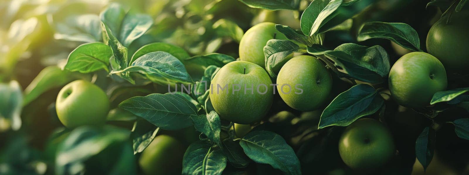 apples grow on a tree with orchard, Generative AI, food