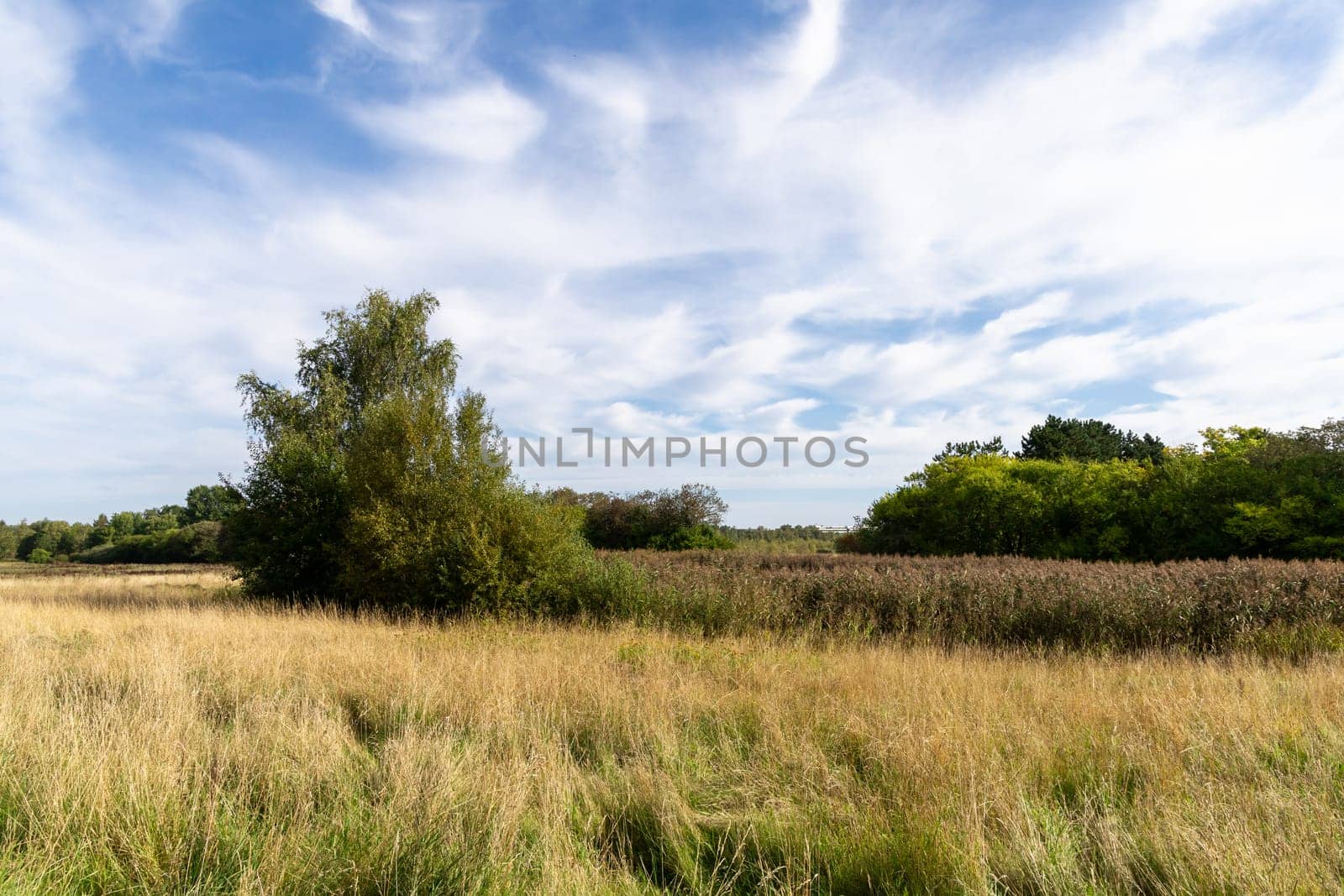 Country road among fields and forests. Rural landscape. High quality photo