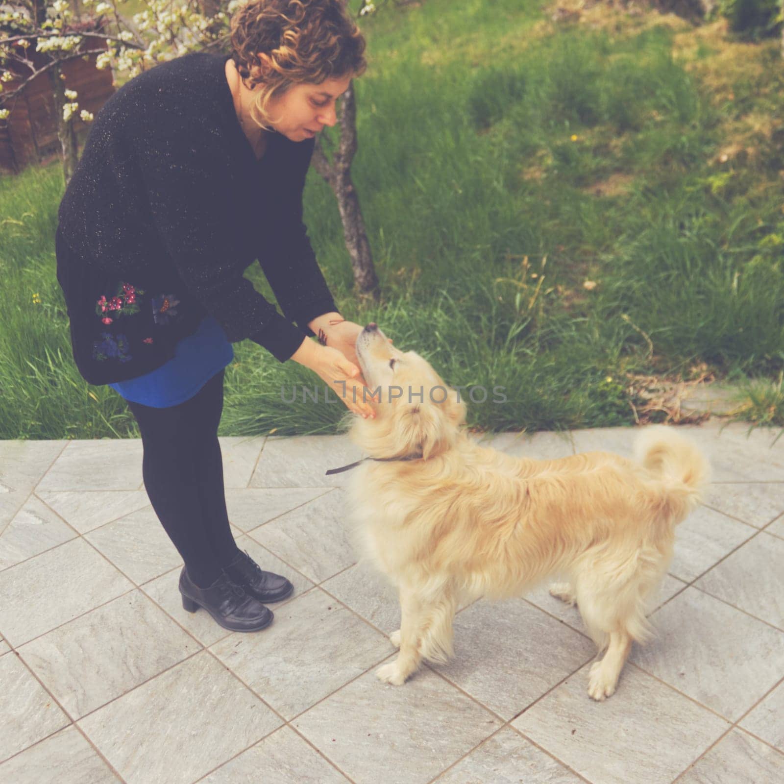 a caucasian woman plays with her pets in the garden. High quality photo