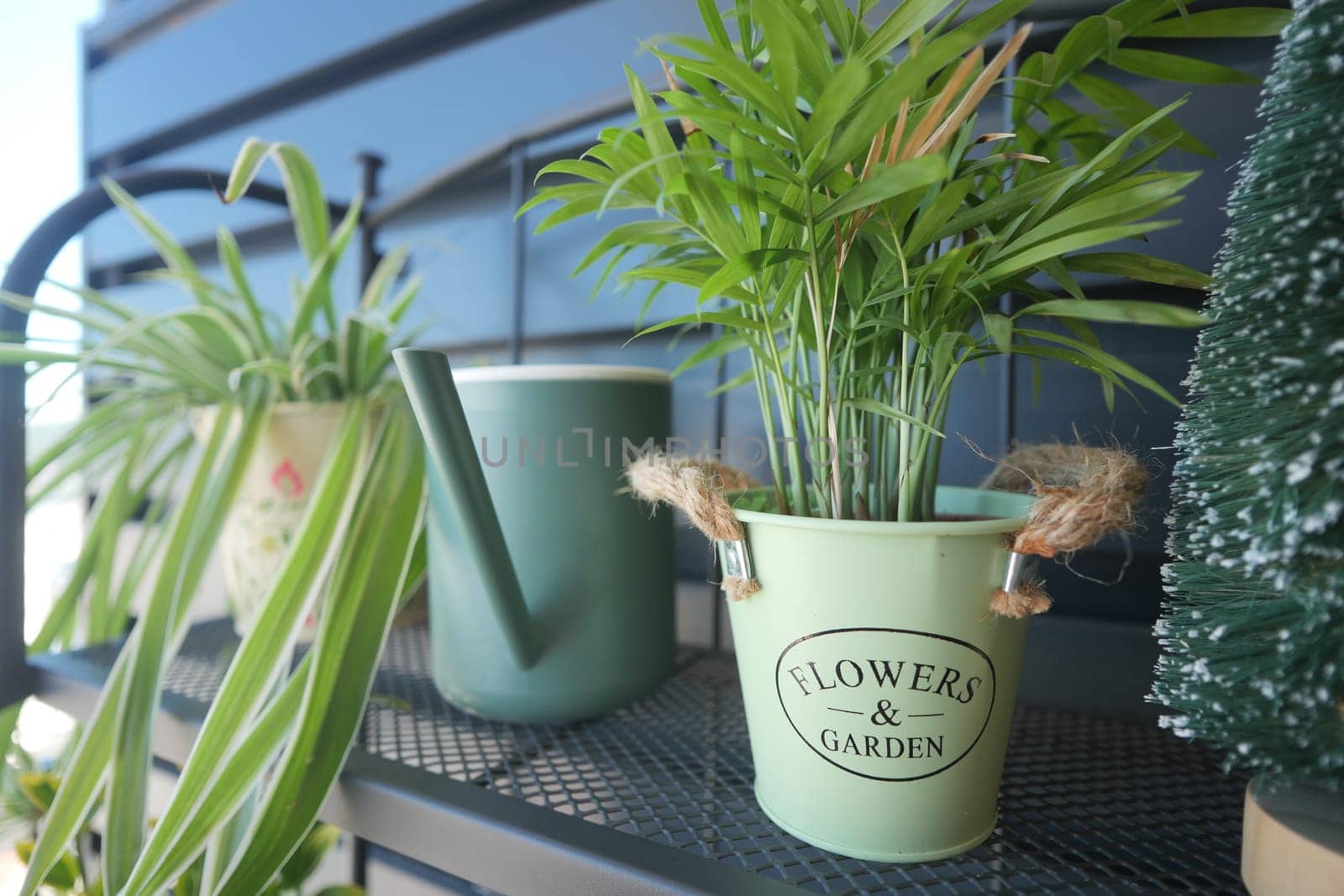 Decorative pots filled with green plants are arranged on a stylish shelf.
