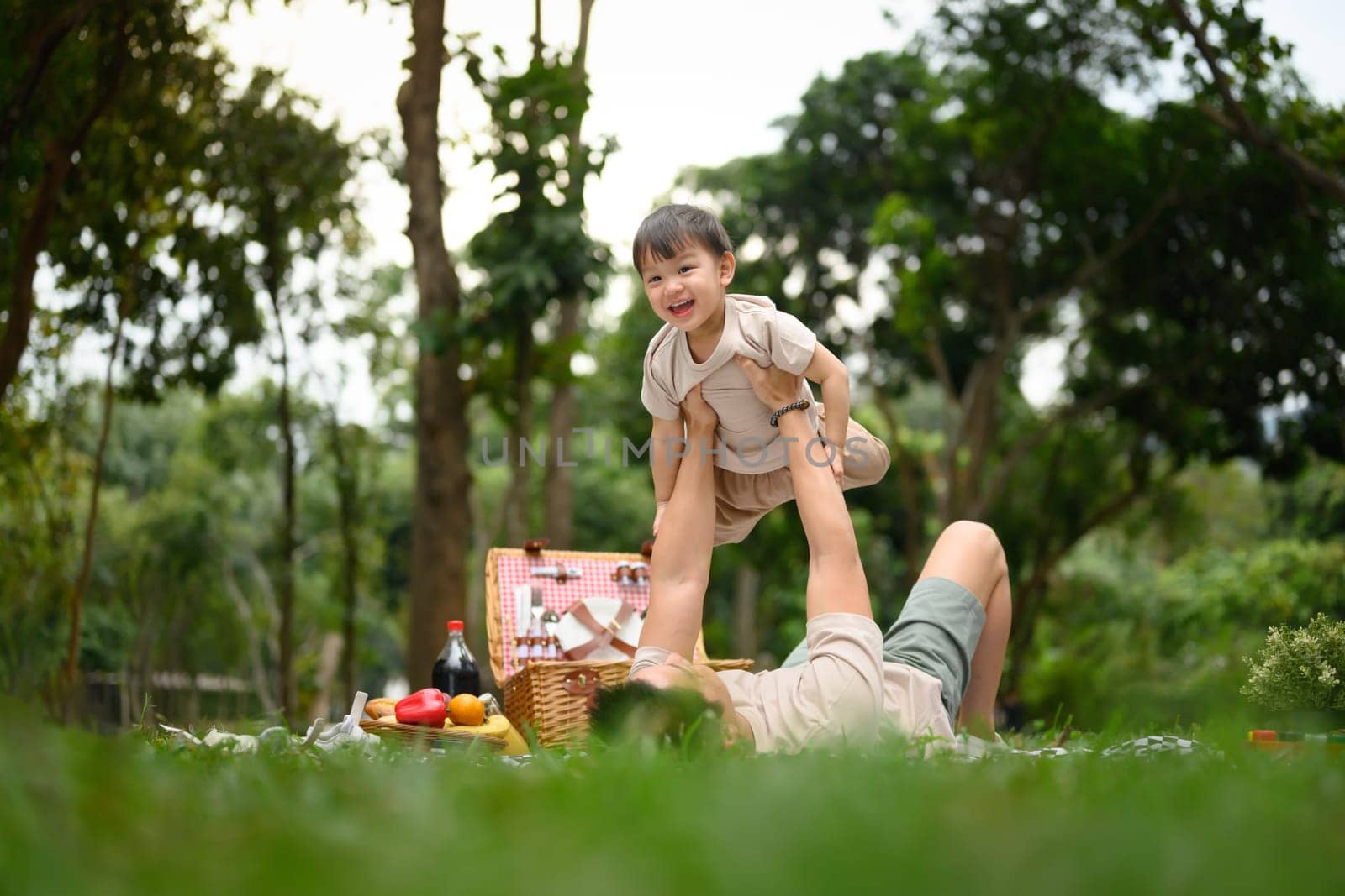 Playful father lifting his toddler into the air during a picnic in the park.