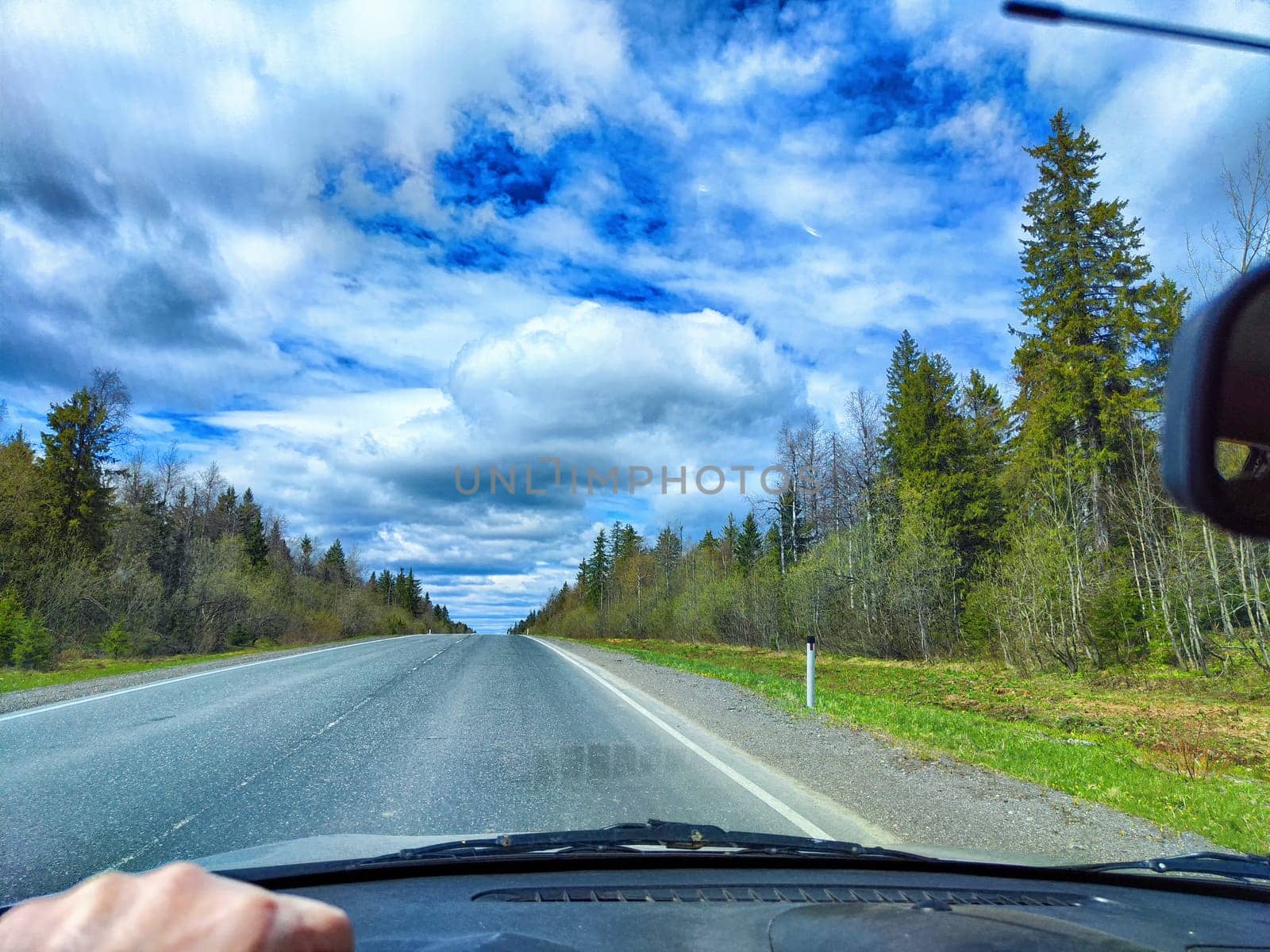 Car salon, windshield, hand of woman on steering wheel and landscape. View from seat of driver on nature with Road, tree and blue sky at sunny day