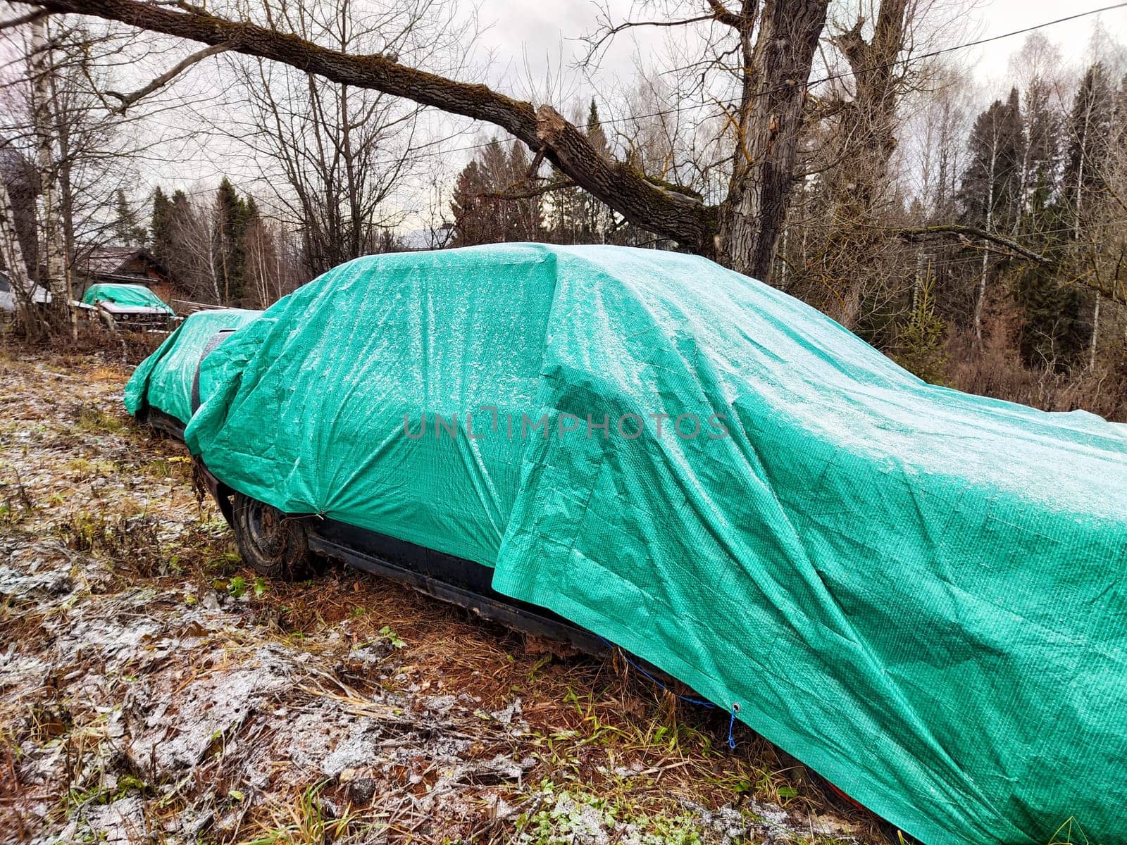 Tarps cover cars damaged in accidents, providing protection from weather elements in a wooded area during overcast conditions.