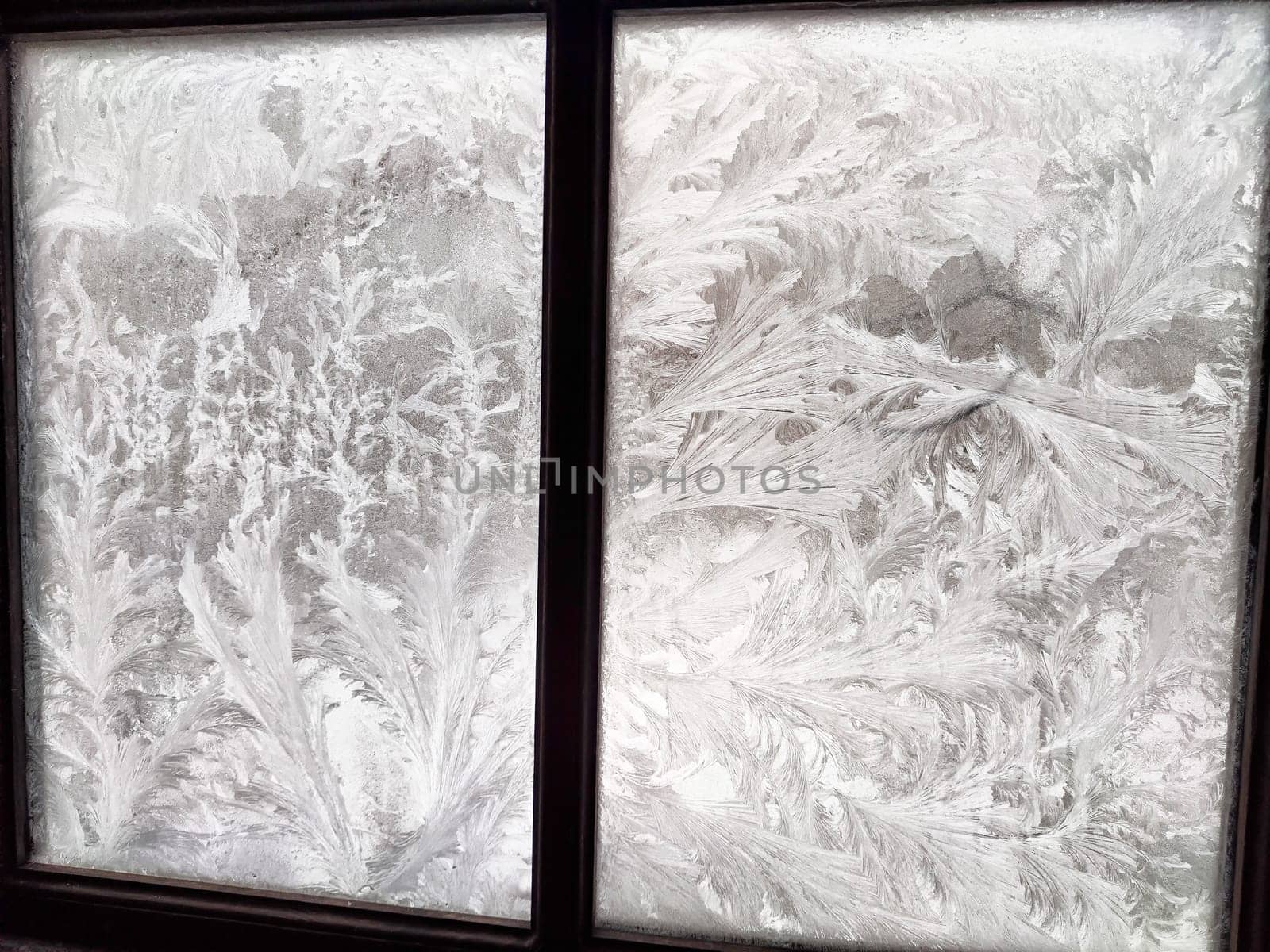 Delicate and intricate snow patterns cover the glass, showcasing nature's artistry on a frigid winter morning.