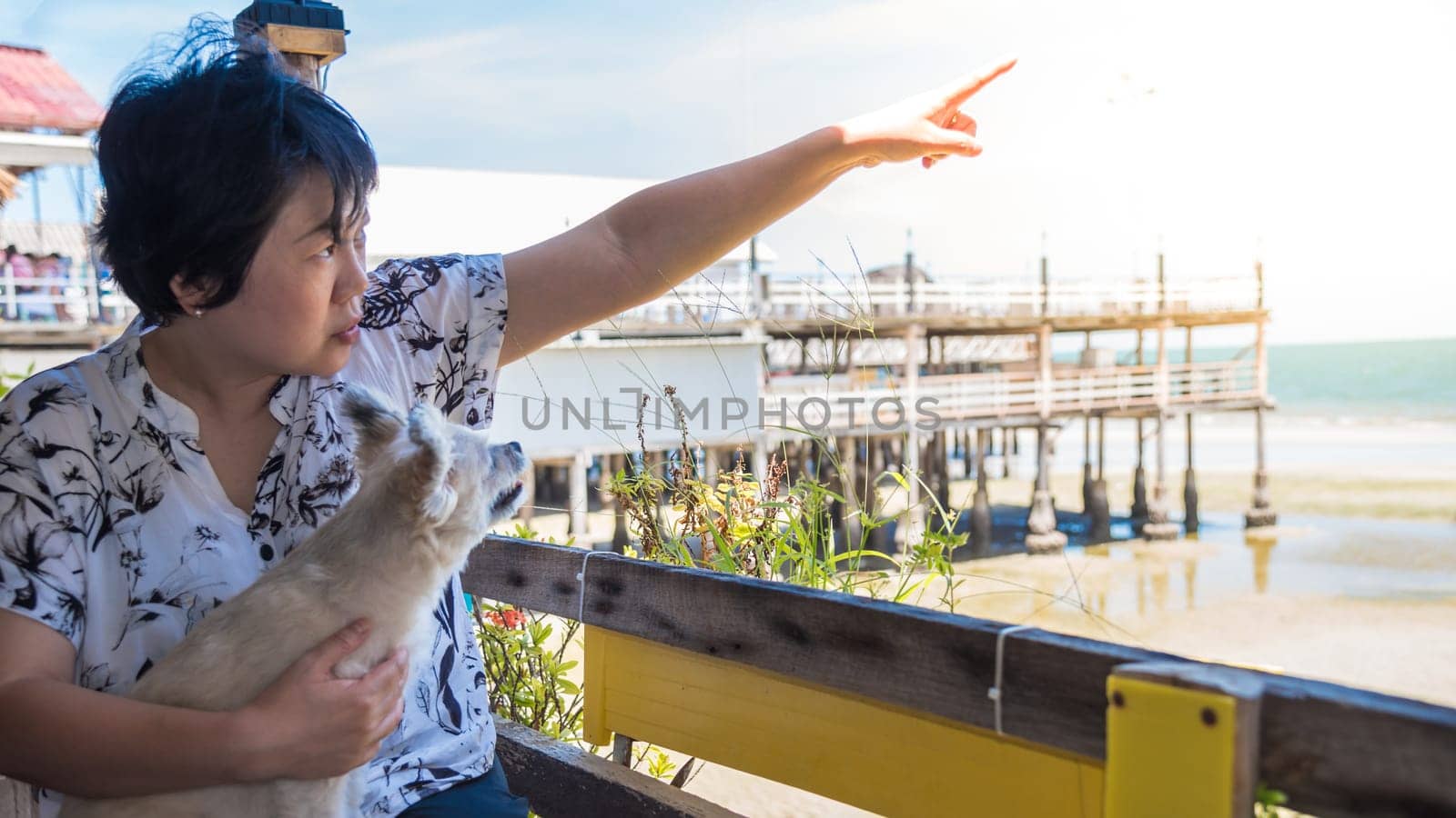 Asian women point finger to sky with sunlight and the dog so cute mixed breed with Shih-Tzu, Pomeranian and Poodle at beach and the sea when travel